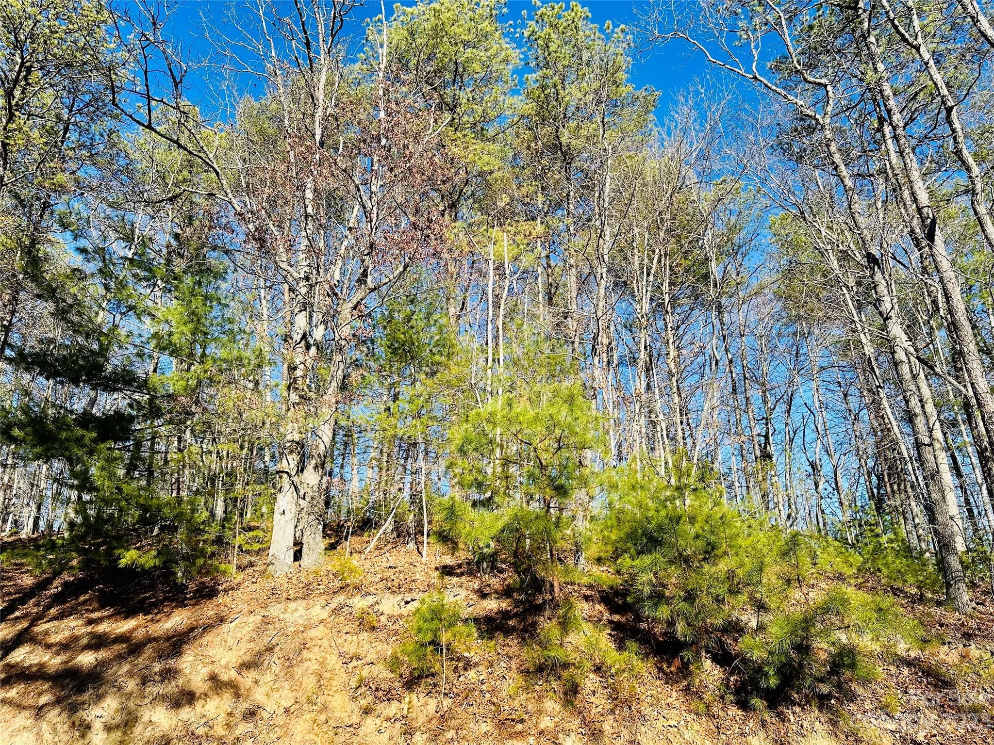 Lot at 71 Turkey Trot Trail, Marshall, photo 2 of 30