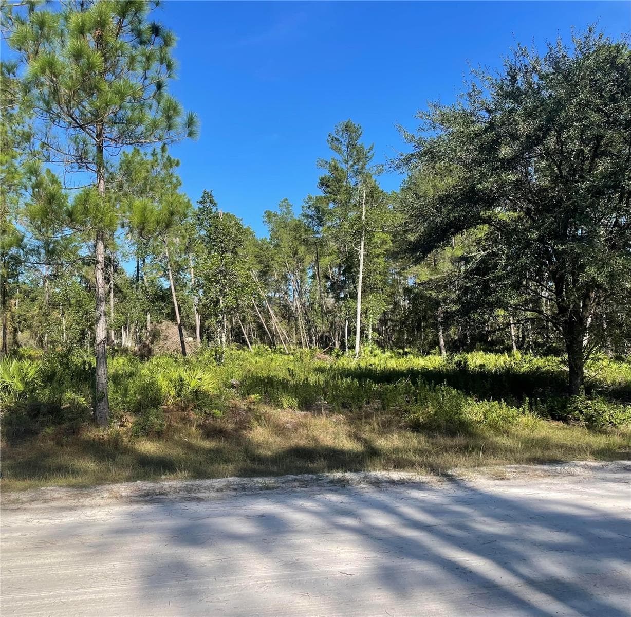 224 PLUMOSA DR