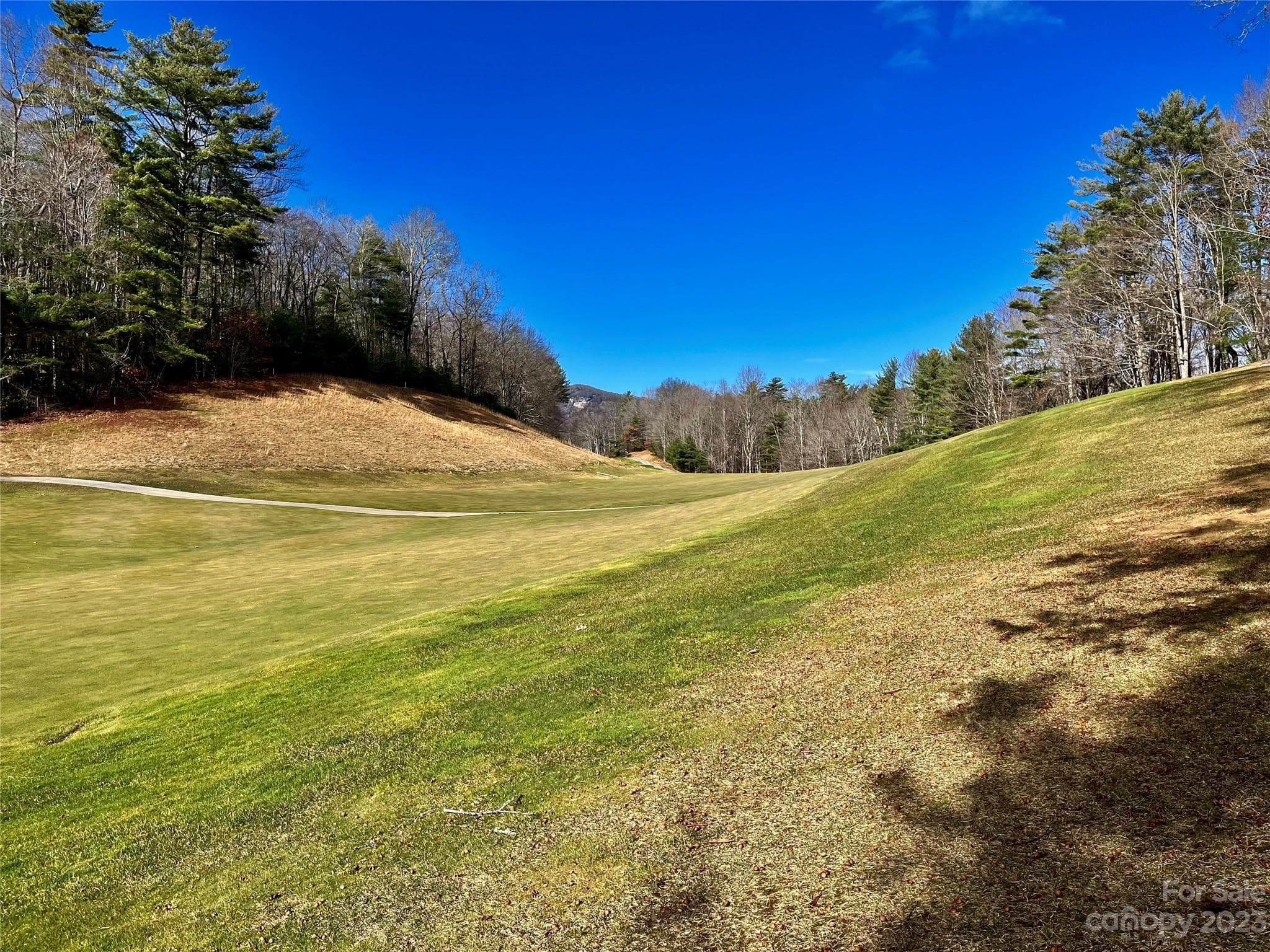 Lot at Lake Toxaway, photo 12 of 13