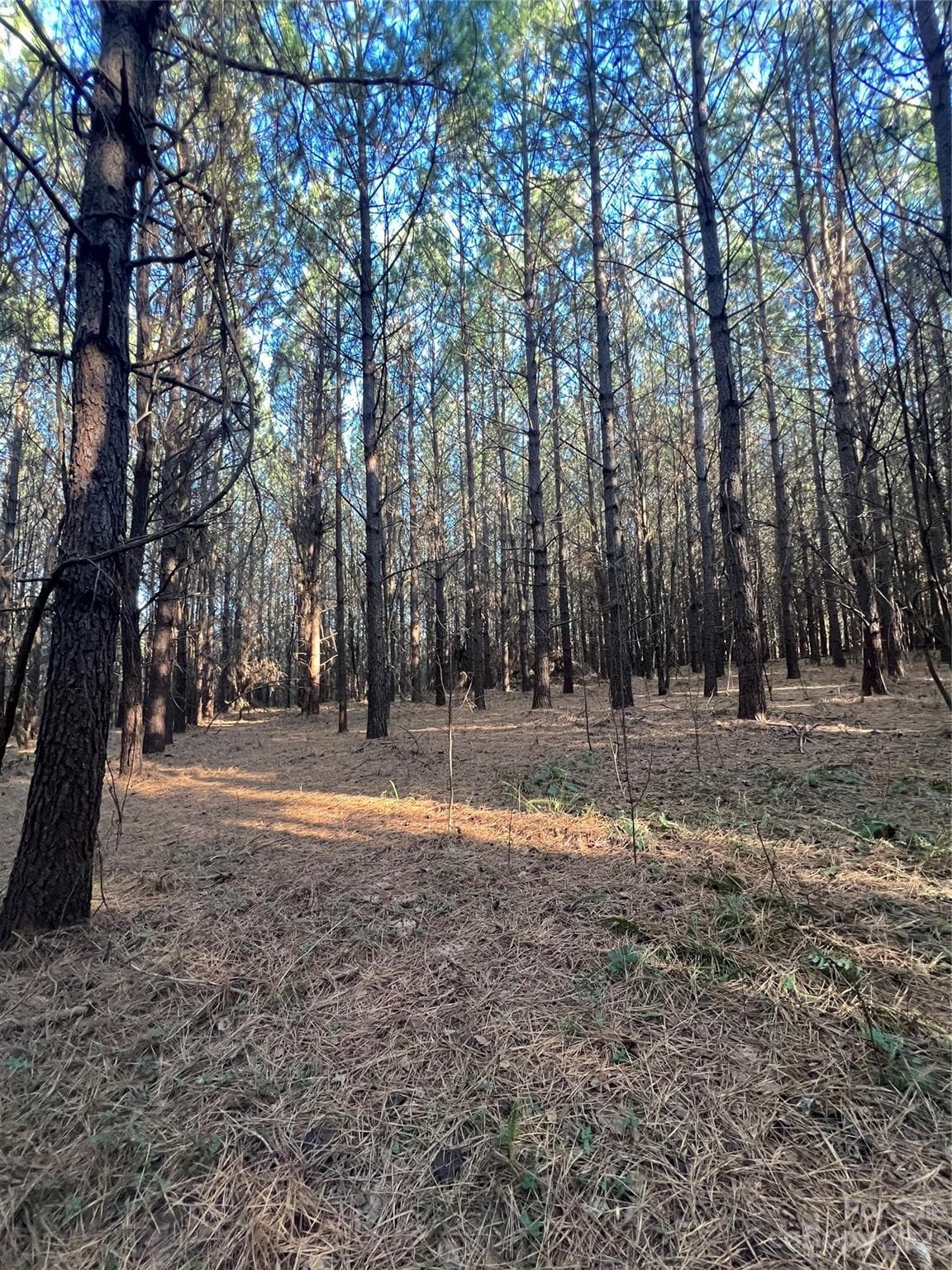 Acreage at Statesville, photo 32 of 36