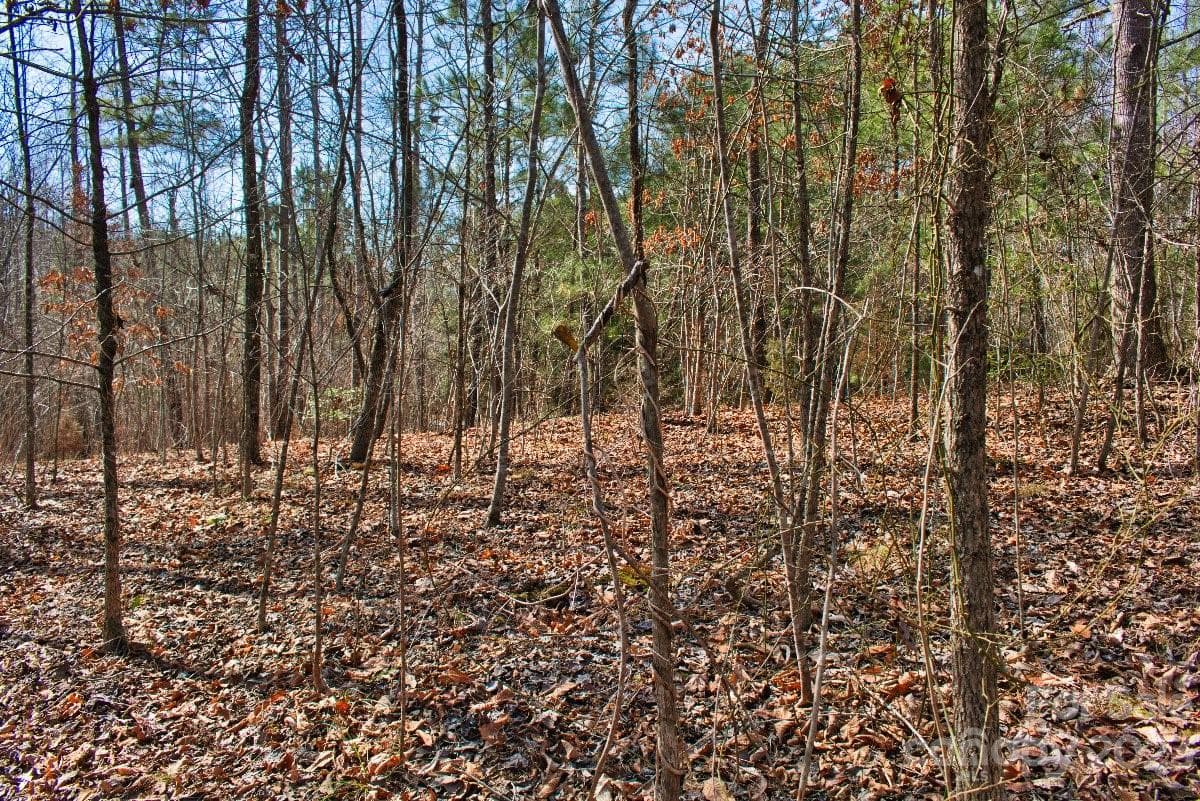 Lot at 0 Woodstock Lane, Rutherfordton, photo 3 of 5