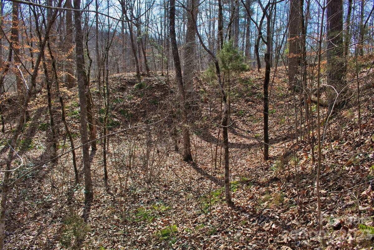 Lot at 0 Woodstock Lane, Rutherfordton, photo 4 of 5