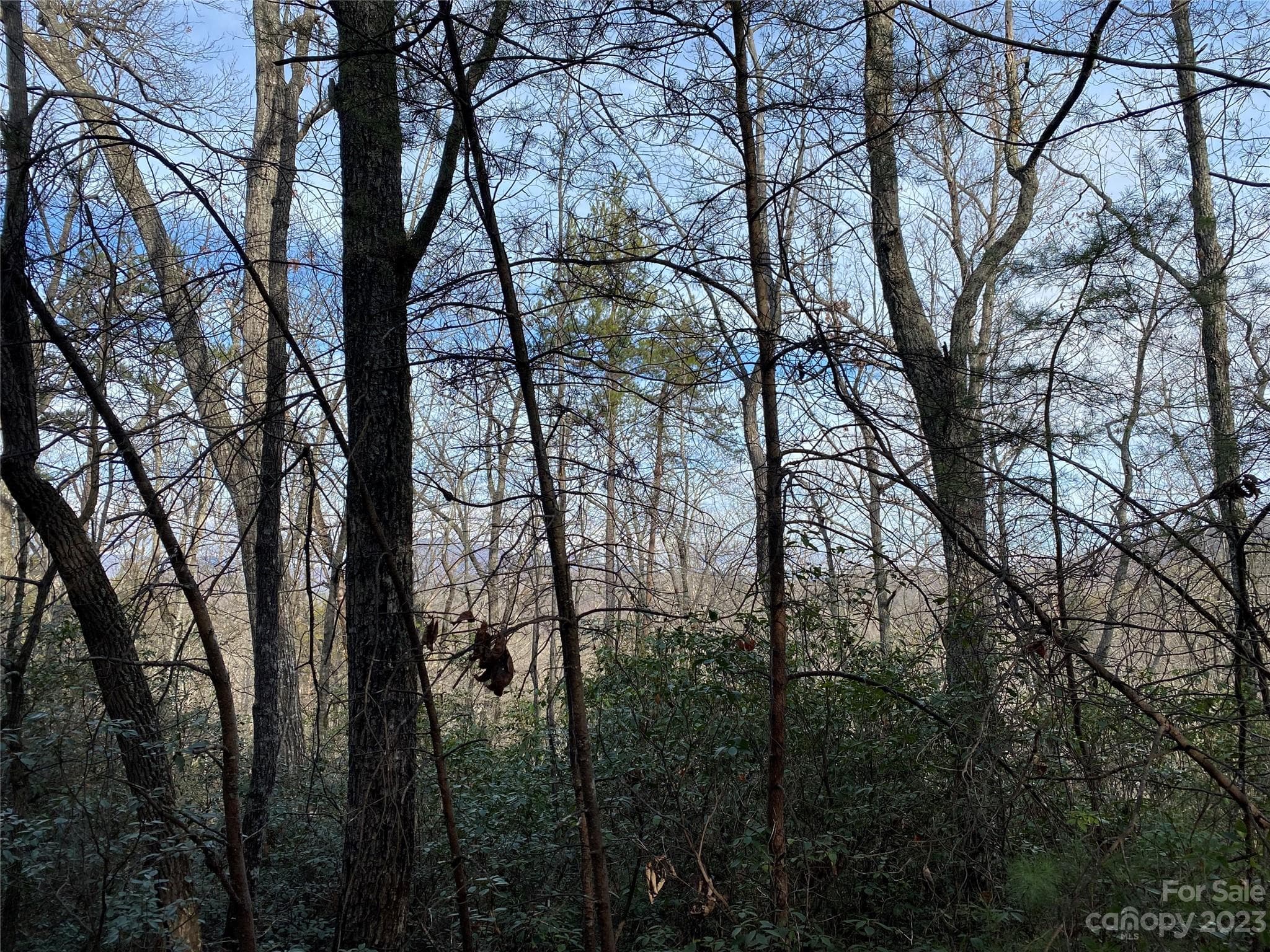 Acreage at Lake Lure, photo 2 of 40