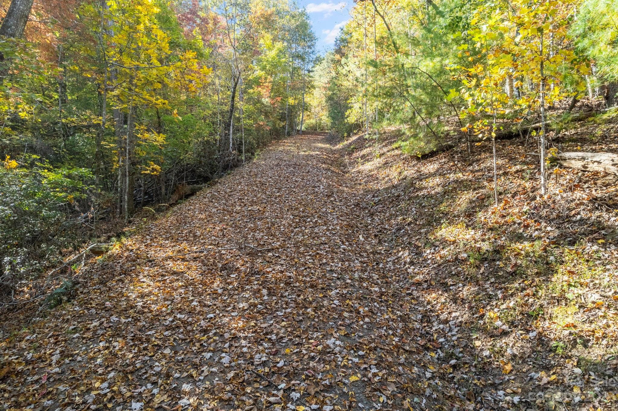 Acreage at Lake Lure, photo 3 of 40