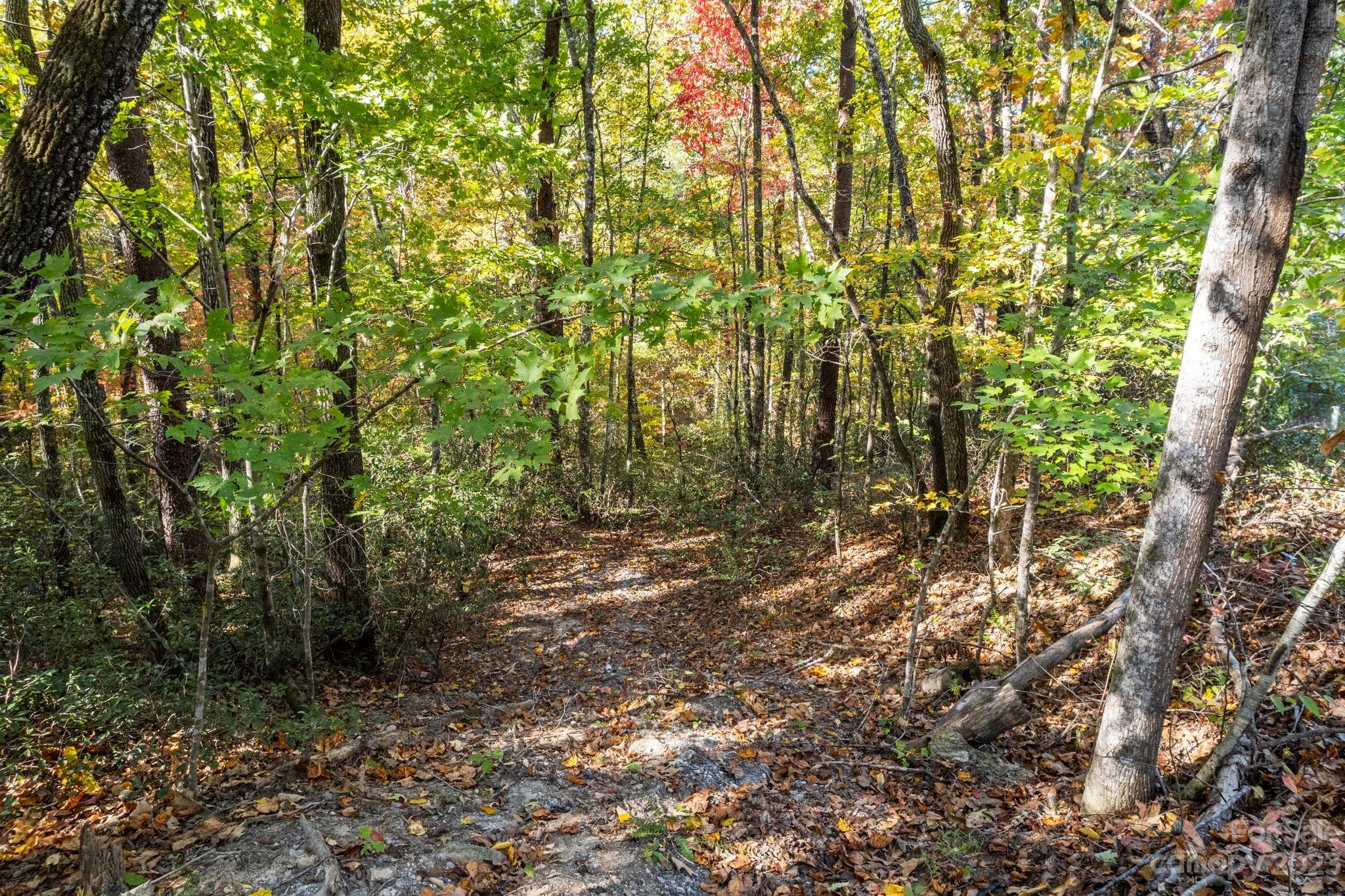 Acreage at Lake Lure, photo 5 of 40