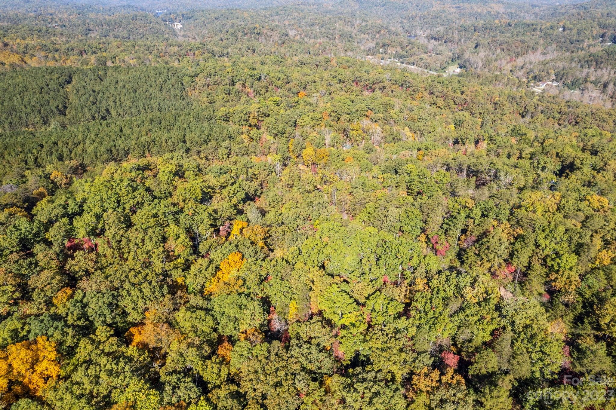 Acreage at Lake Lure, photo 10 of 40