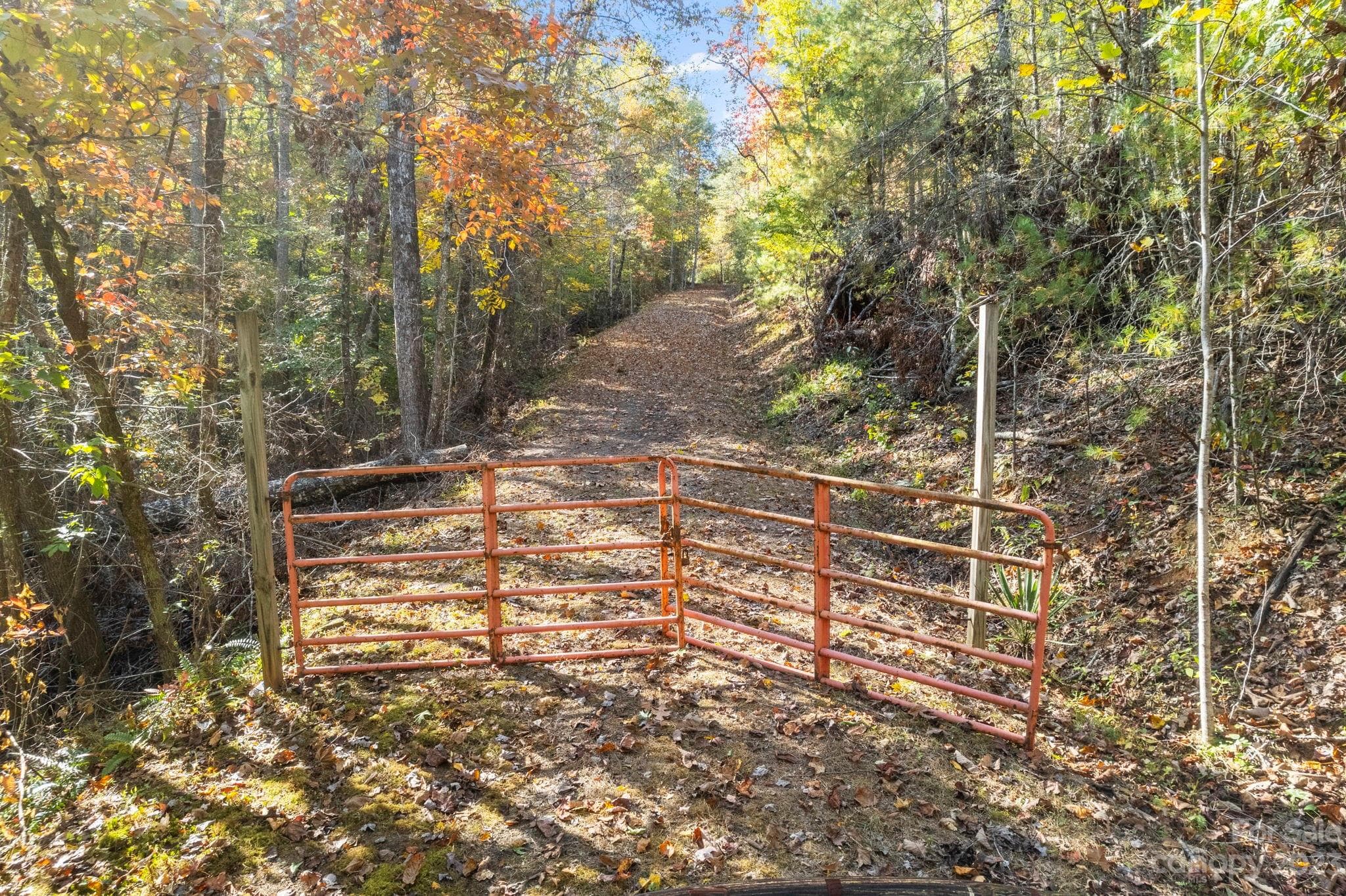 Easement for Driveway - property begins about 30 yards up the drive - Lake Lure