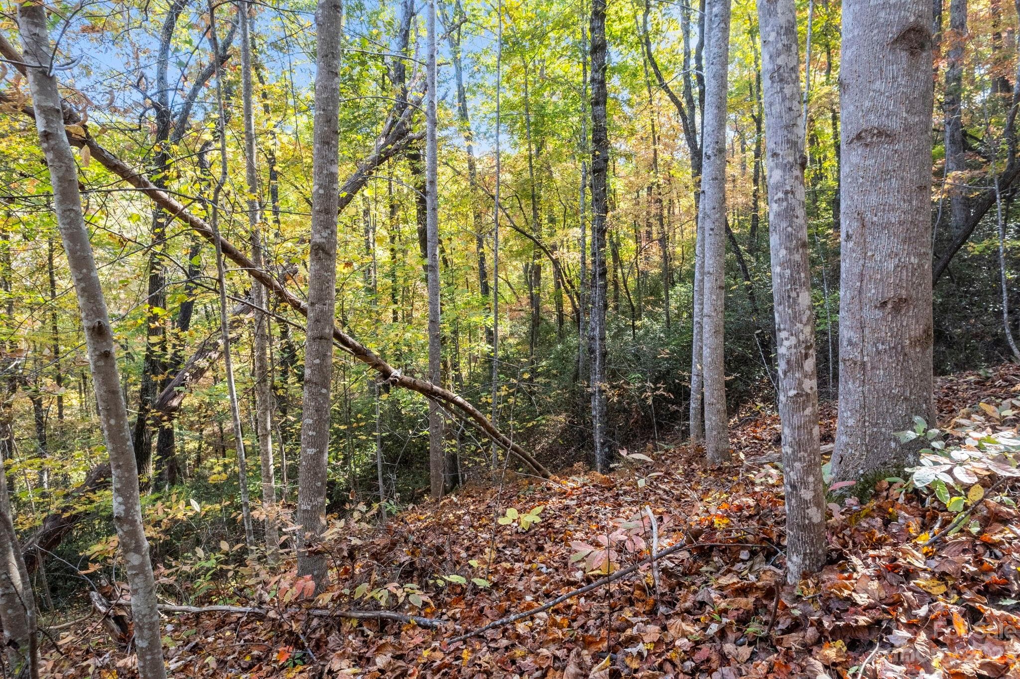 Acreage at Lake Lure, photo 31 of 40
