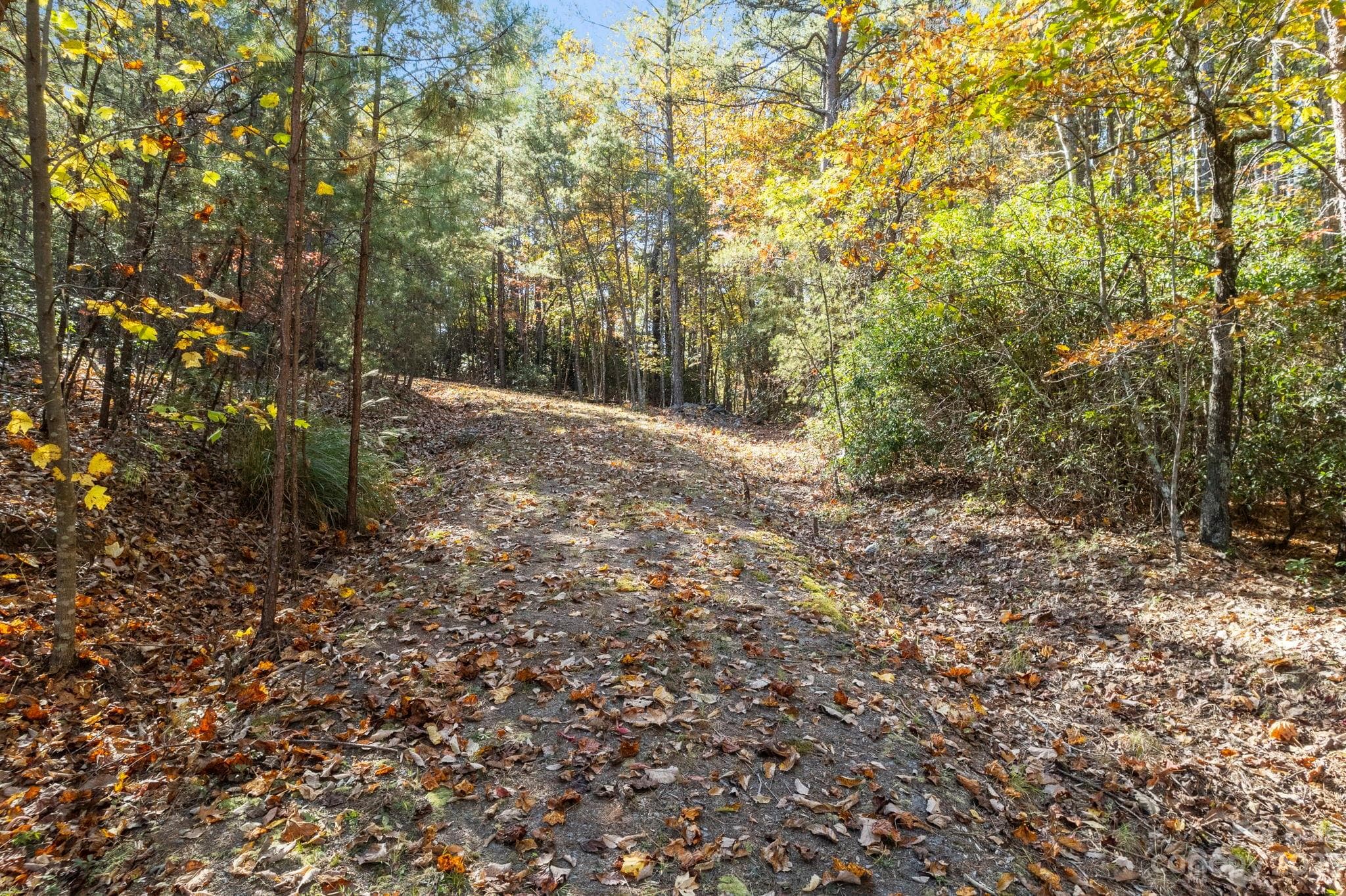 Acreage at Lake Lure, photo 32 of 40