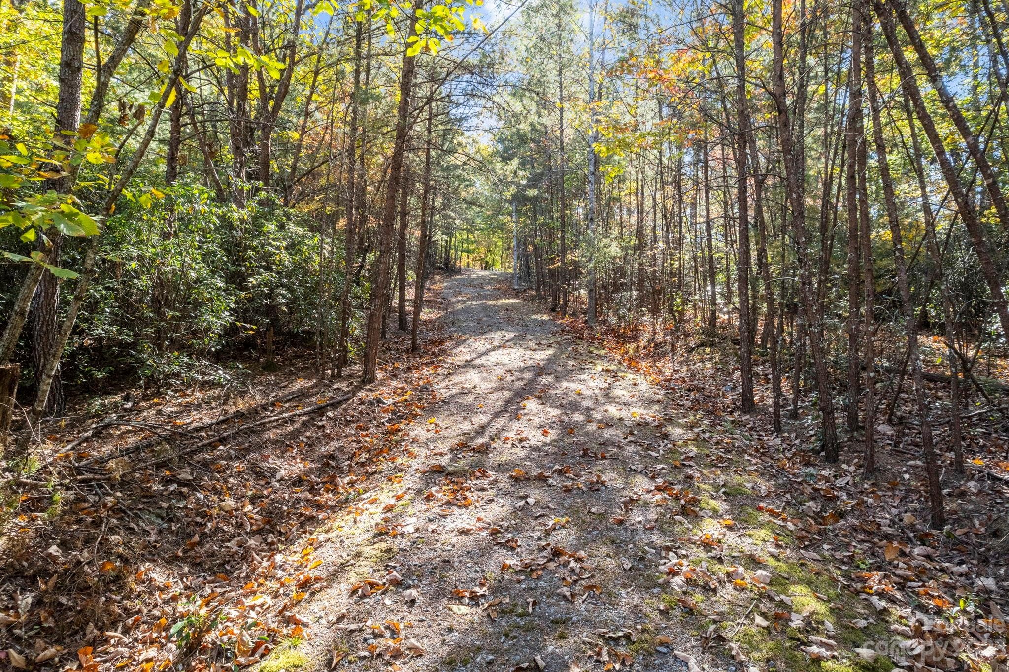 Drive to cleared building site - Lake Lure