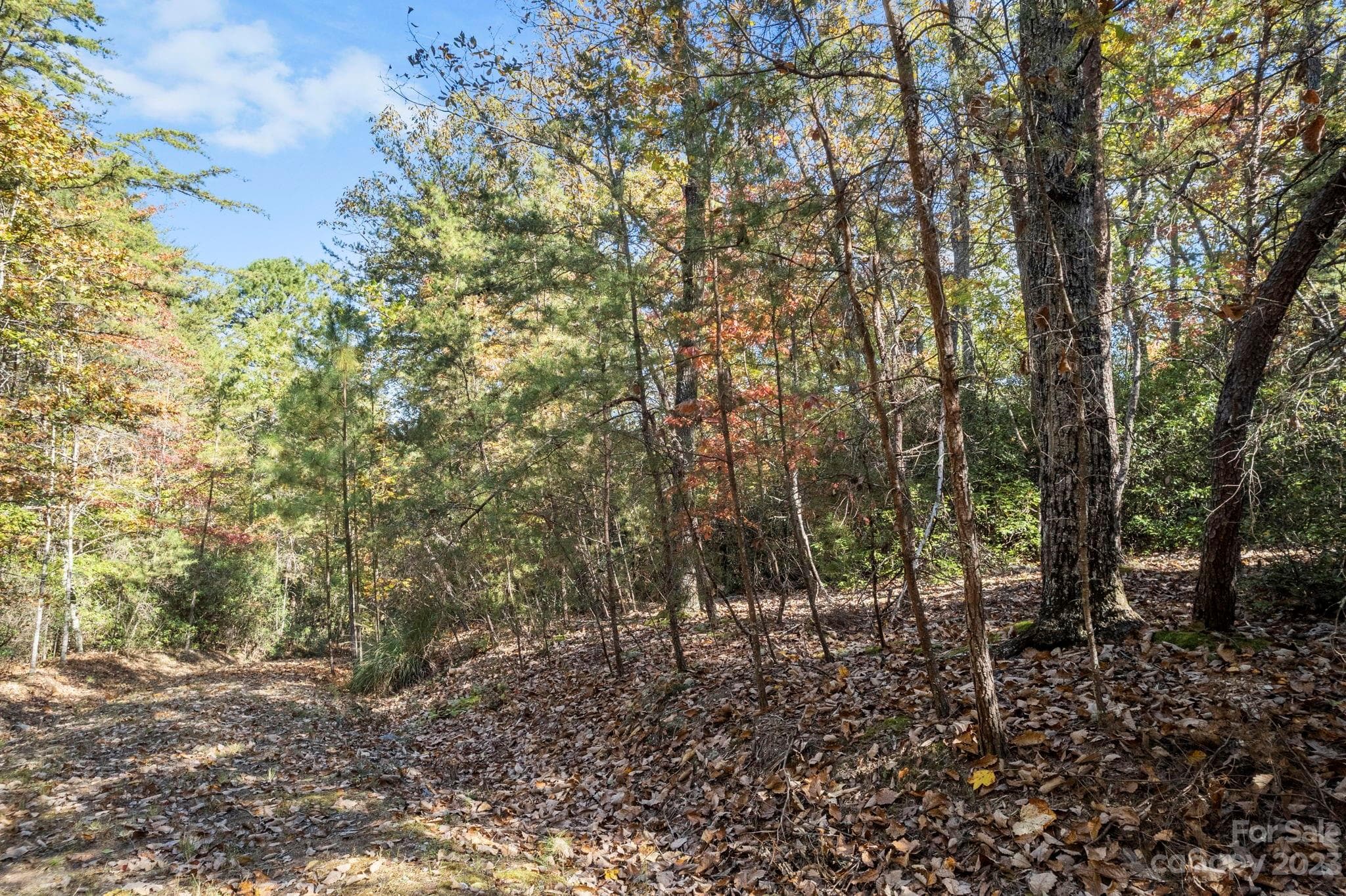 Acreage at Lake Lure, photo 34 of 40