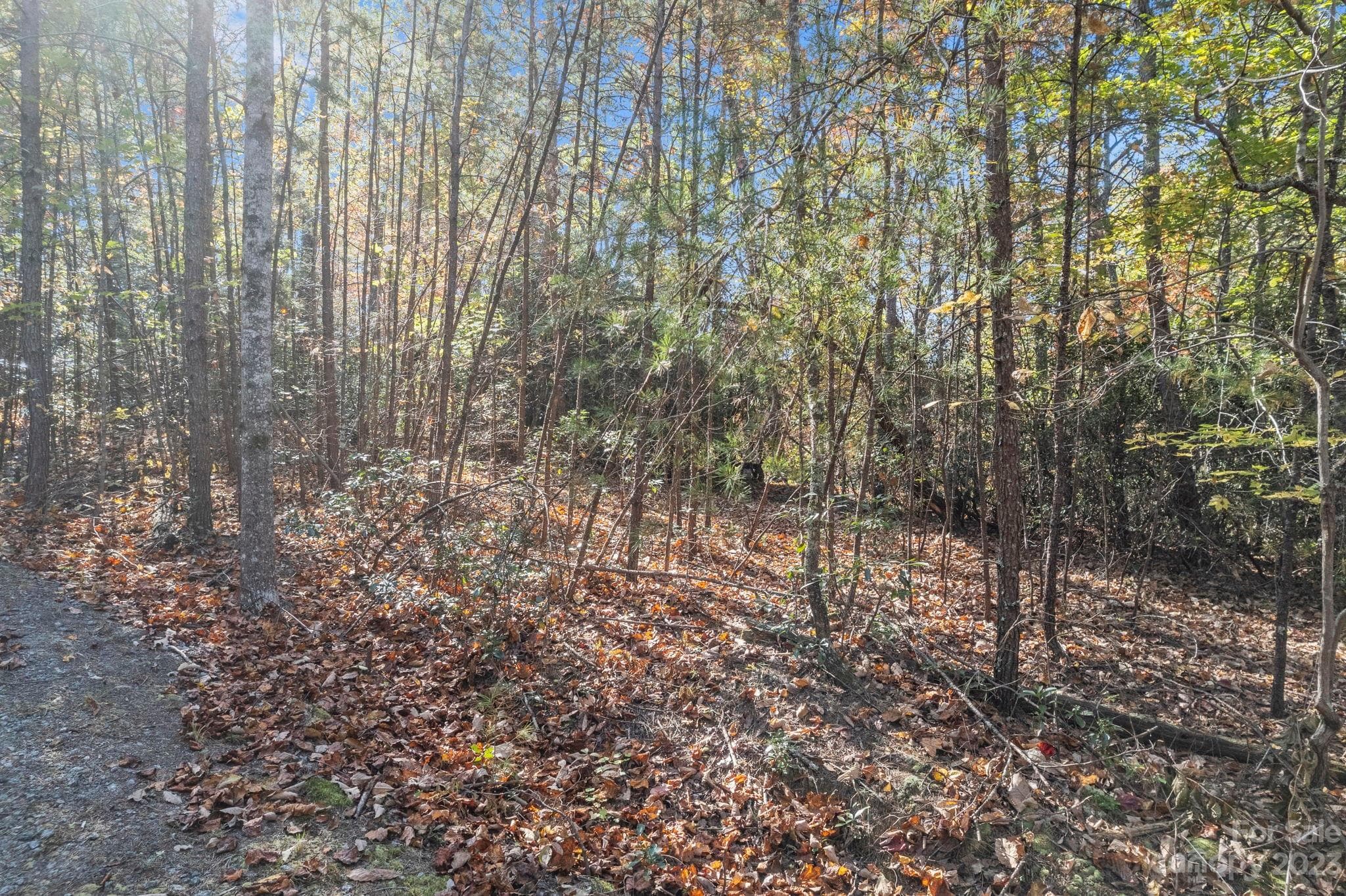 Acreage at Lake Lure, photo 36 of 40