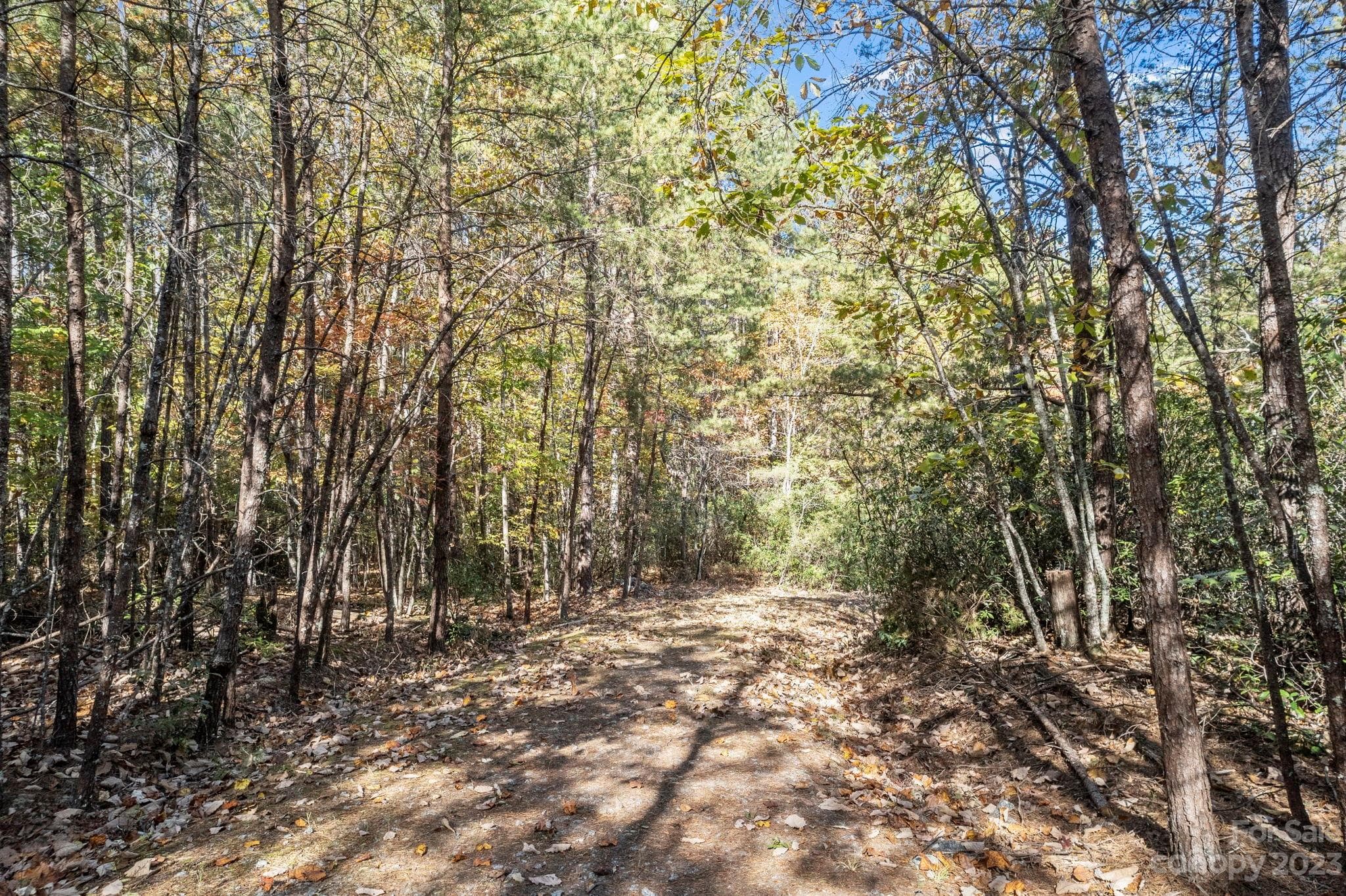 Acreage at Lake Lure, photo 37 of 40