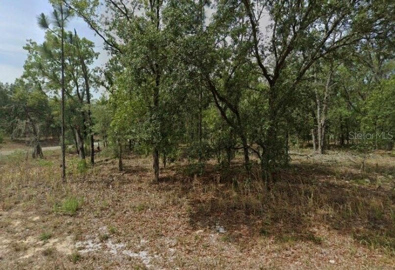 1592 W SWANSON DR
