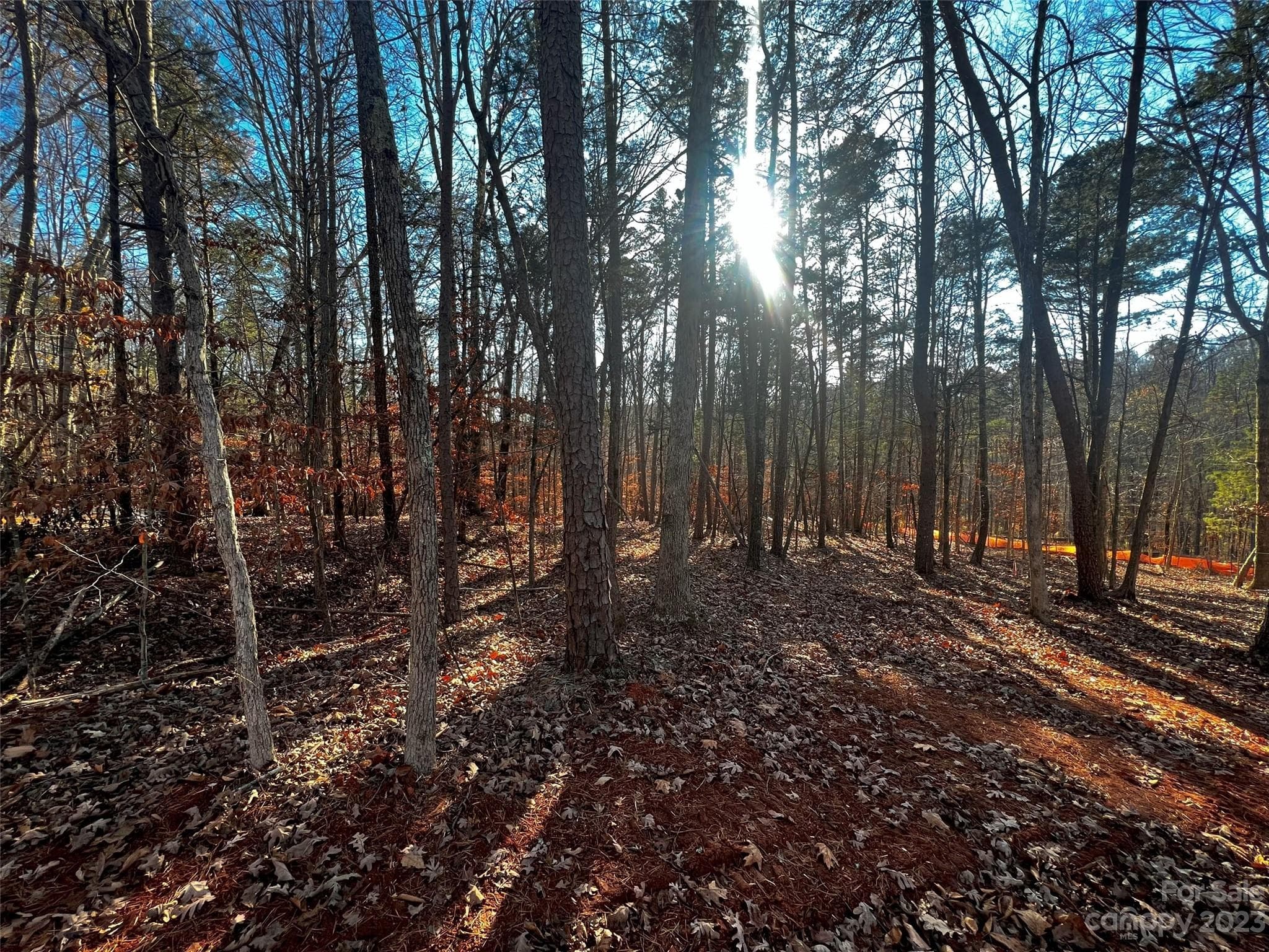 Lot at Davidson, photo 2 of 20