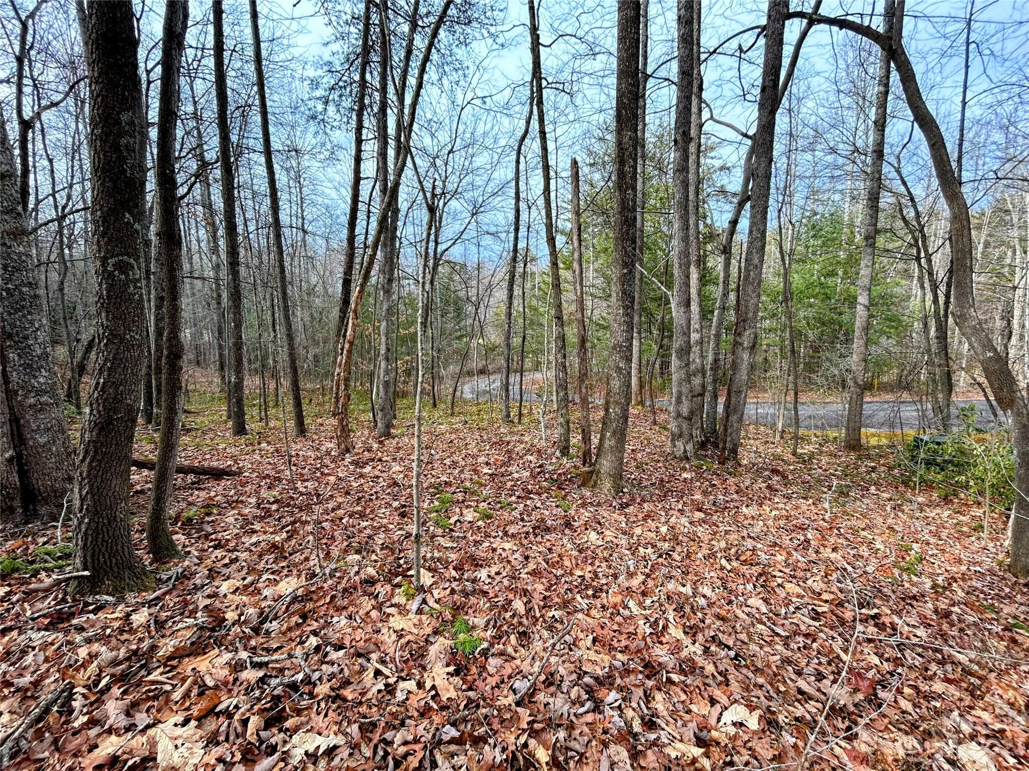 Lot at Lot 7 Azalea Way, Saluda, photo 2 of 13