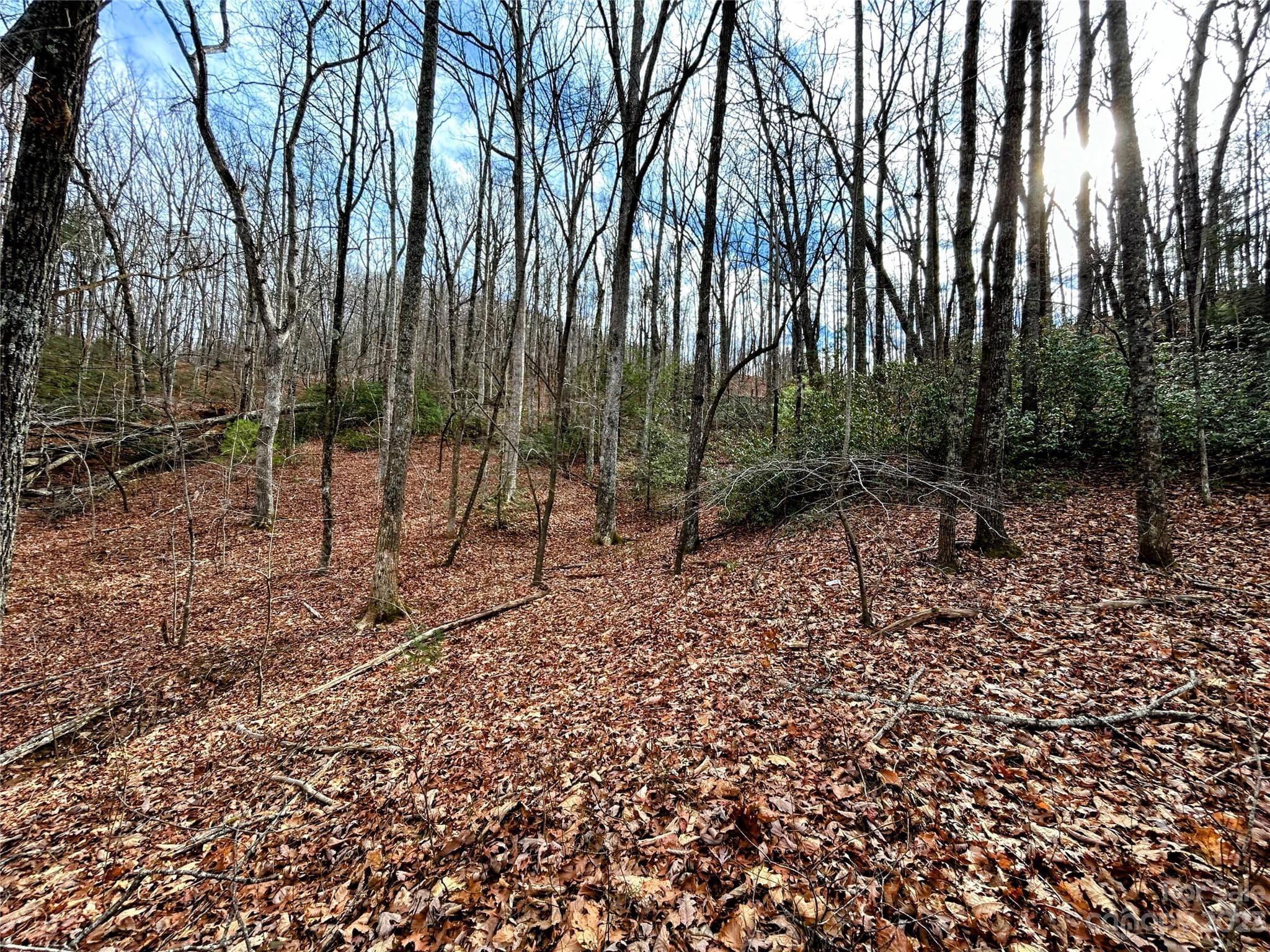 Lot at Lot 7 Azalea Way, Saluda, photo 3 of 13