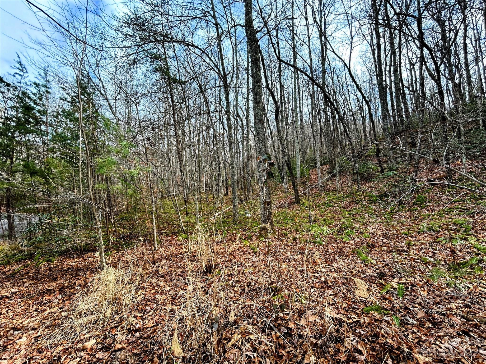 Lot at Lot 7 Azalea Way, Saluda, photo 4 of 13