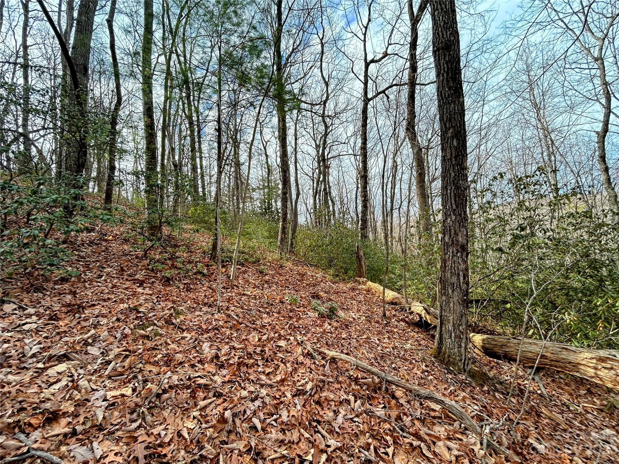 Lot at Lot 7 Azalea Way, Saluda, photo 5 of 13