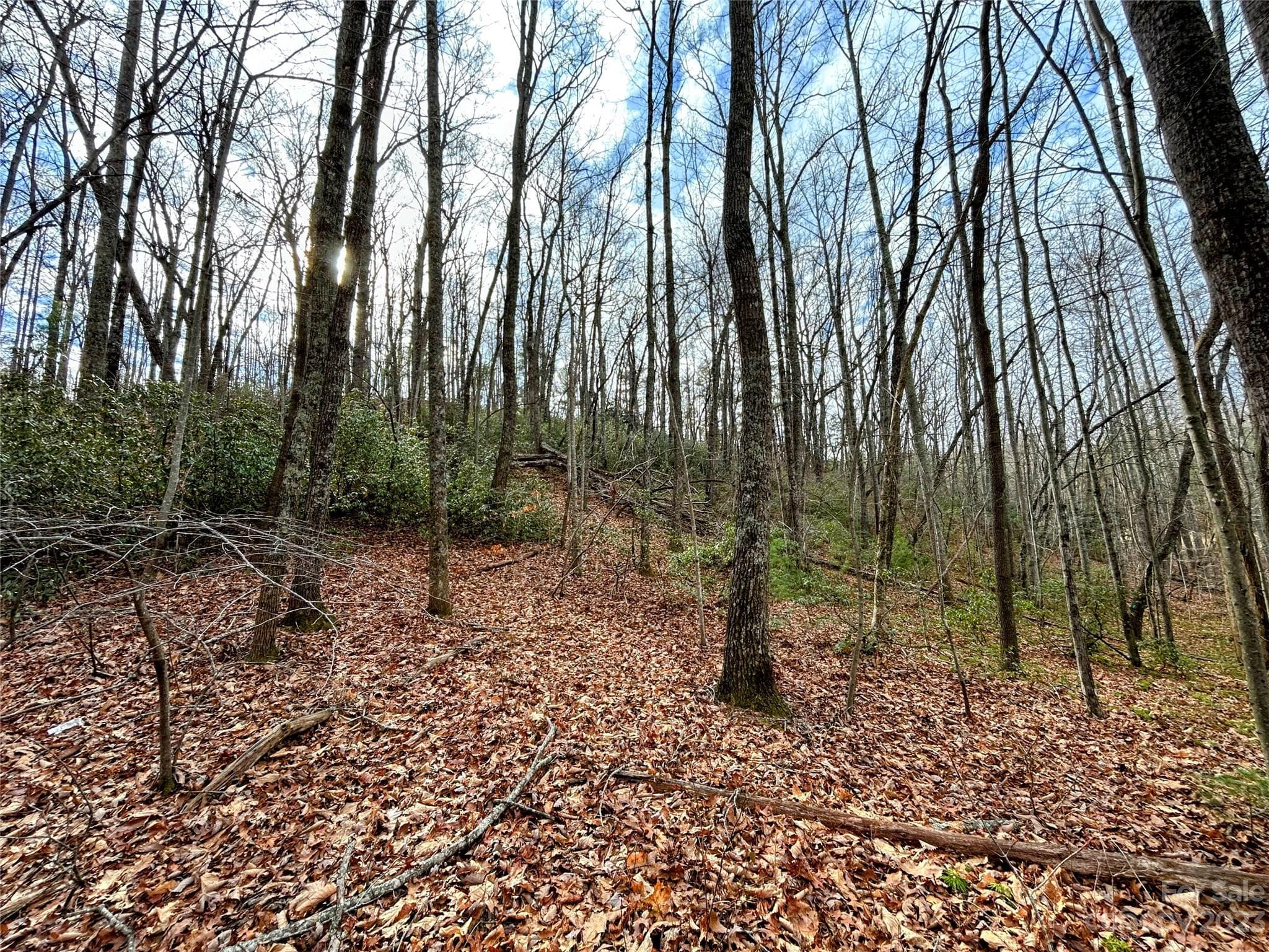 Lot at Lot 7 Azalea Way, Saluda, photo 6 of 13