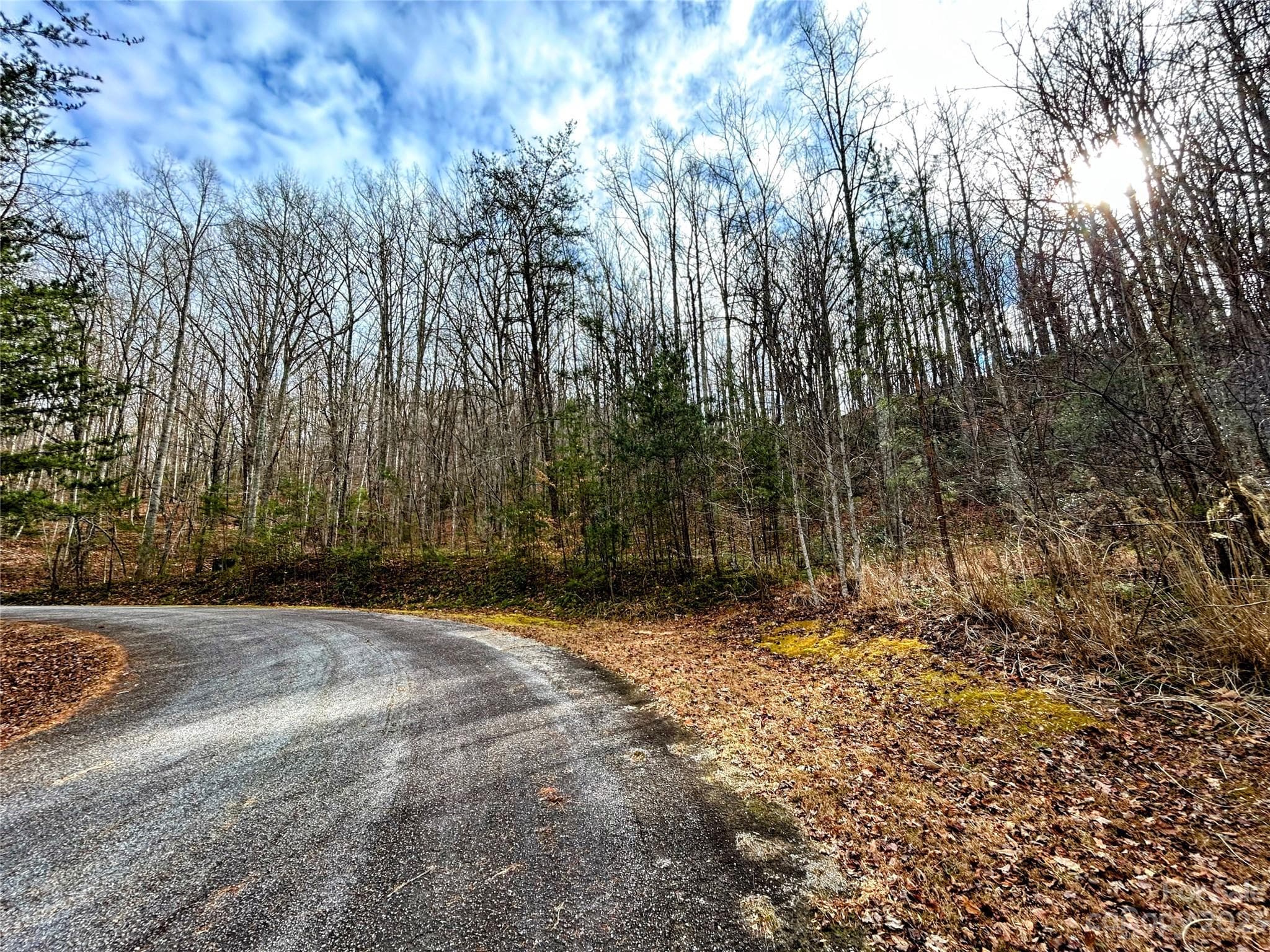 Lot at Lot 7 Azalea Way, Saluda, photo 8 of 13