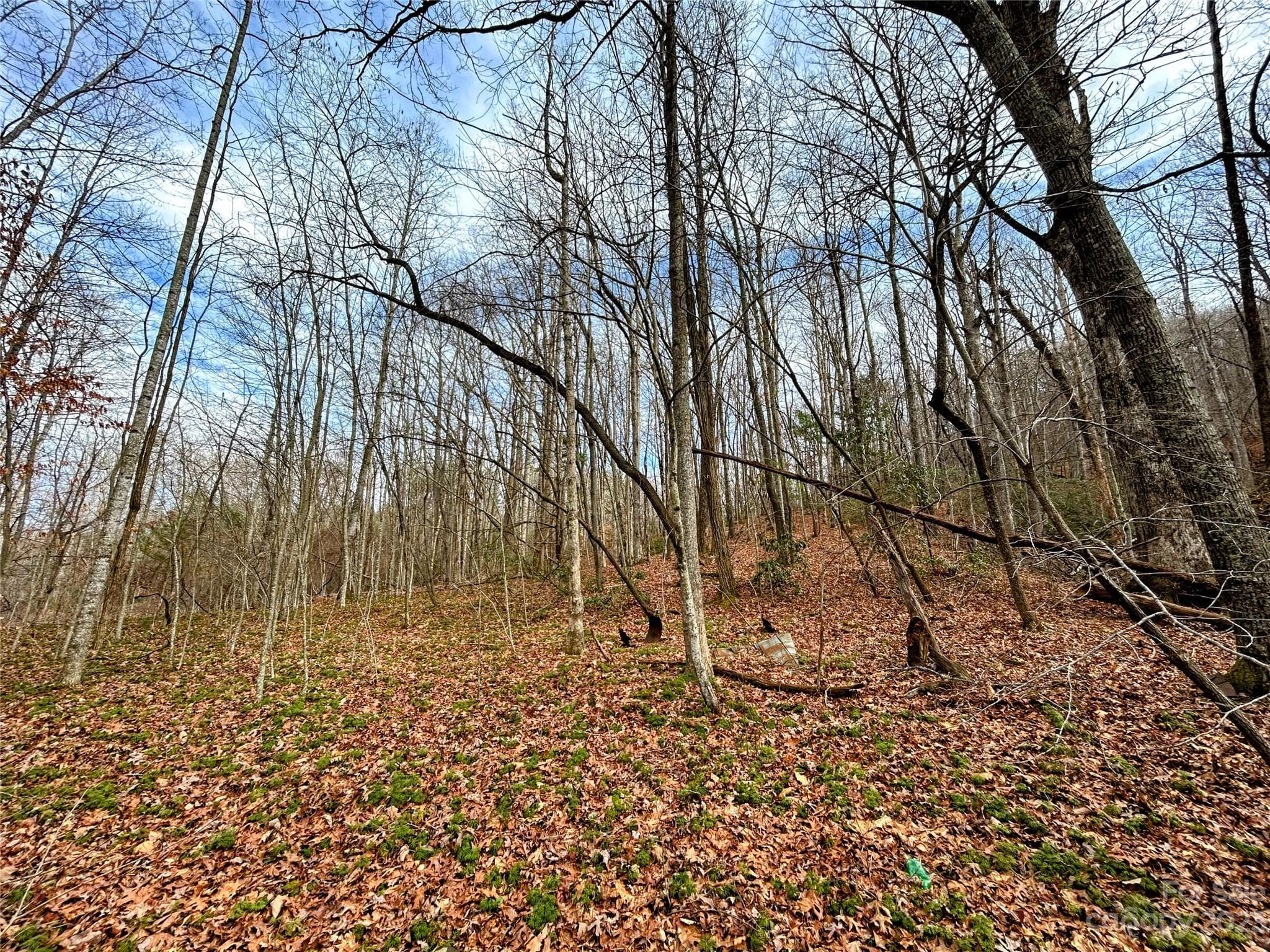 Lot at Lot 8 Azalea Way, Saluda, photo 2 of 14