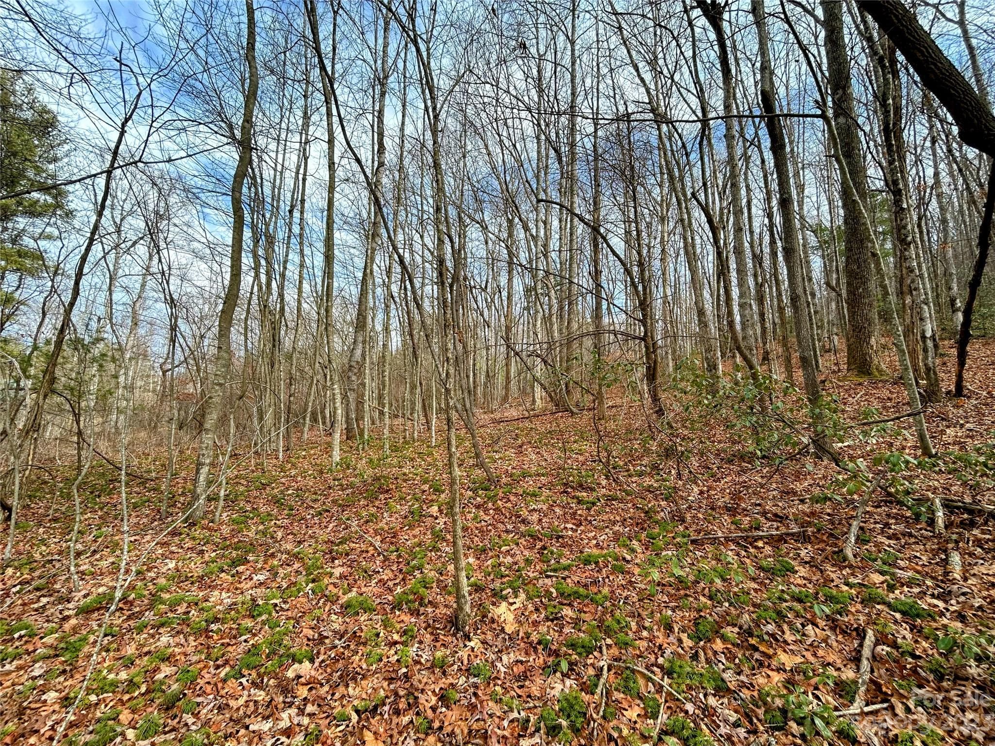 Lot at Lot 8 Azalea Way, Saluda, photo 3 of 14