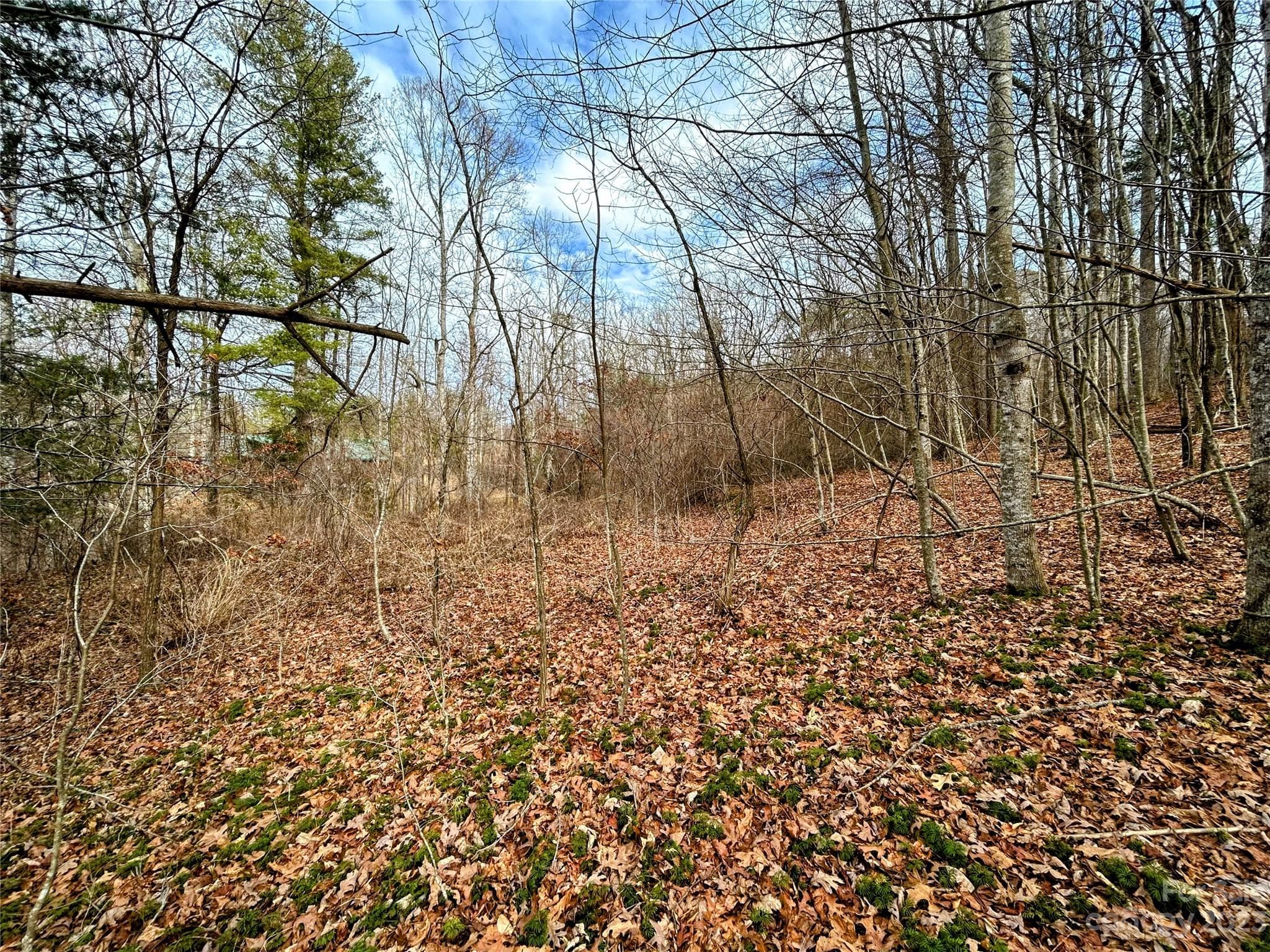 Lot at Lot 8 Azalea Way, Saluda, photo 4 of 14