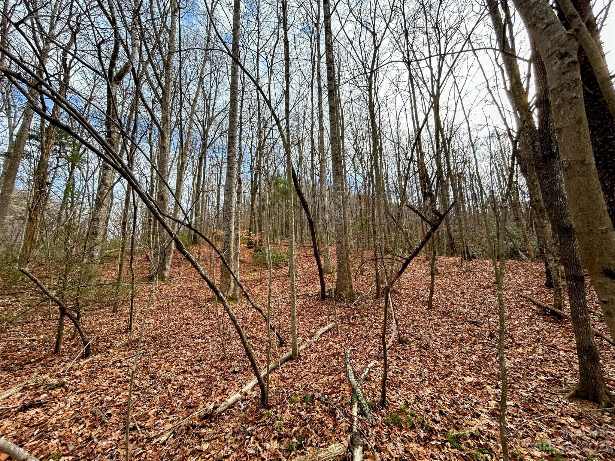 Lot at Lot 8 Azalea Way, Saluda, photo 5 of 14