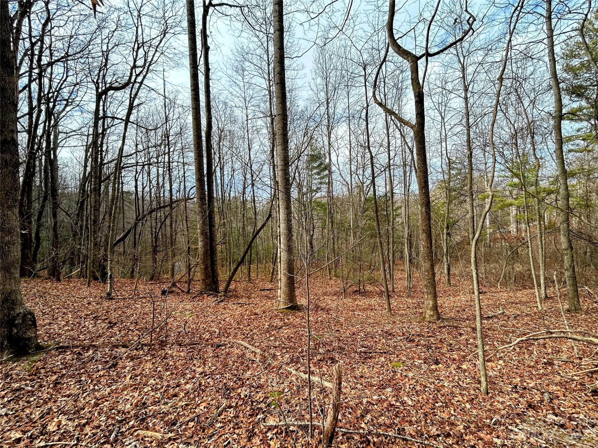 Lot at Lot 8 Azalea Way, Saluda, photo 6 of 14