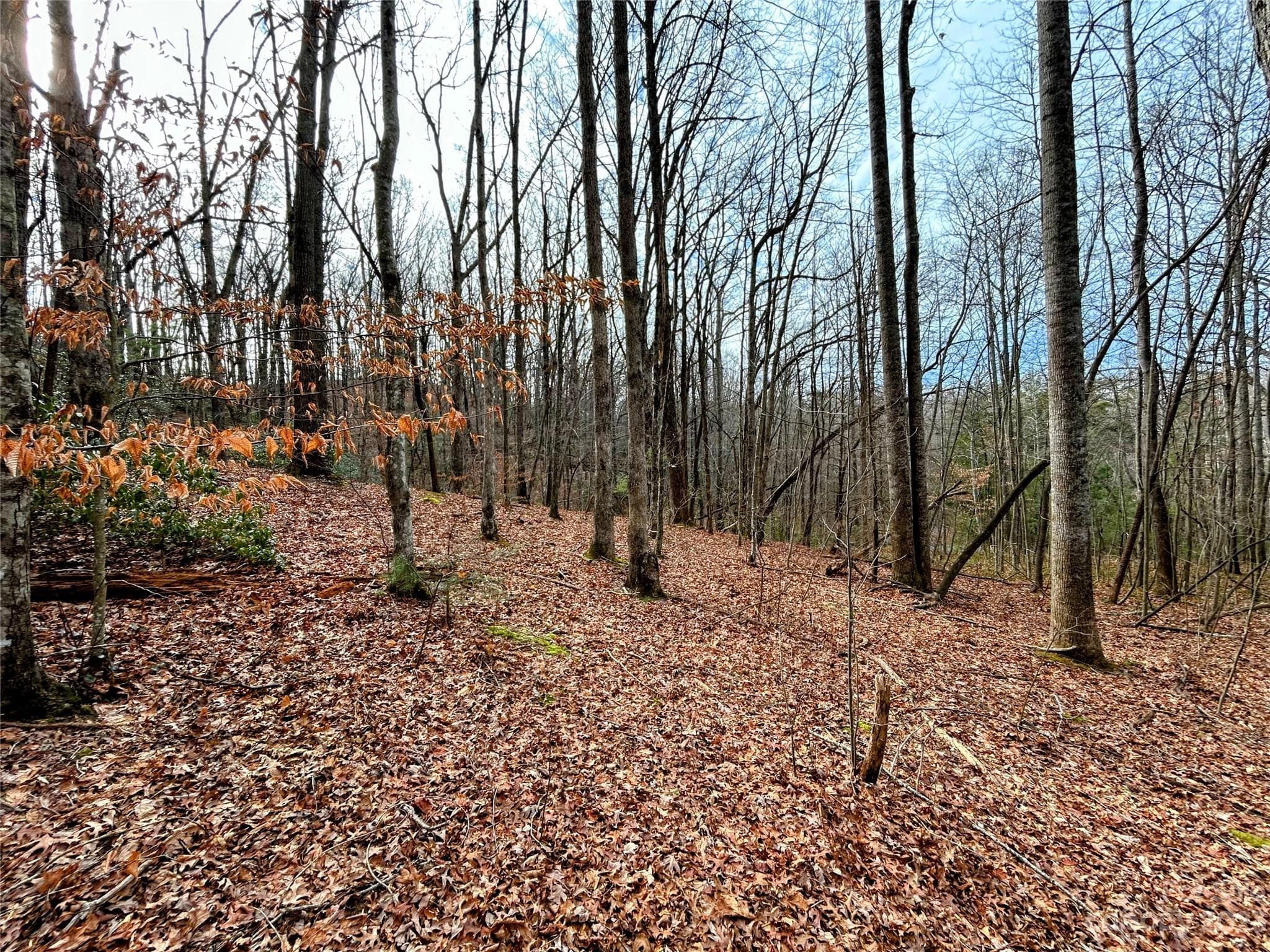 Lot at Lot 8 Azalea Way, Saluda, photo 7 of 14