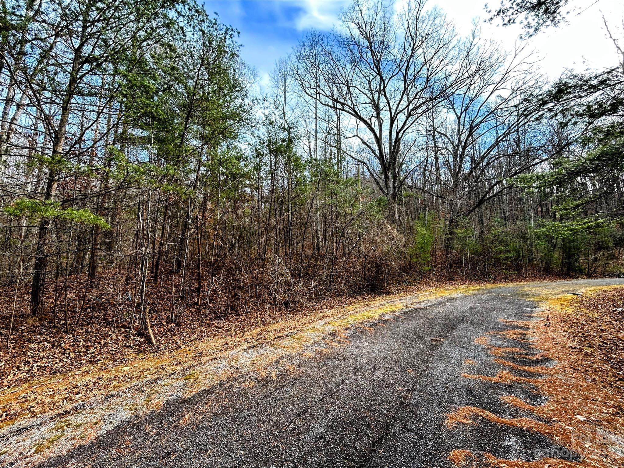 Lot at Lot 8 Azalea Way, Saluda, photo 8 of 14