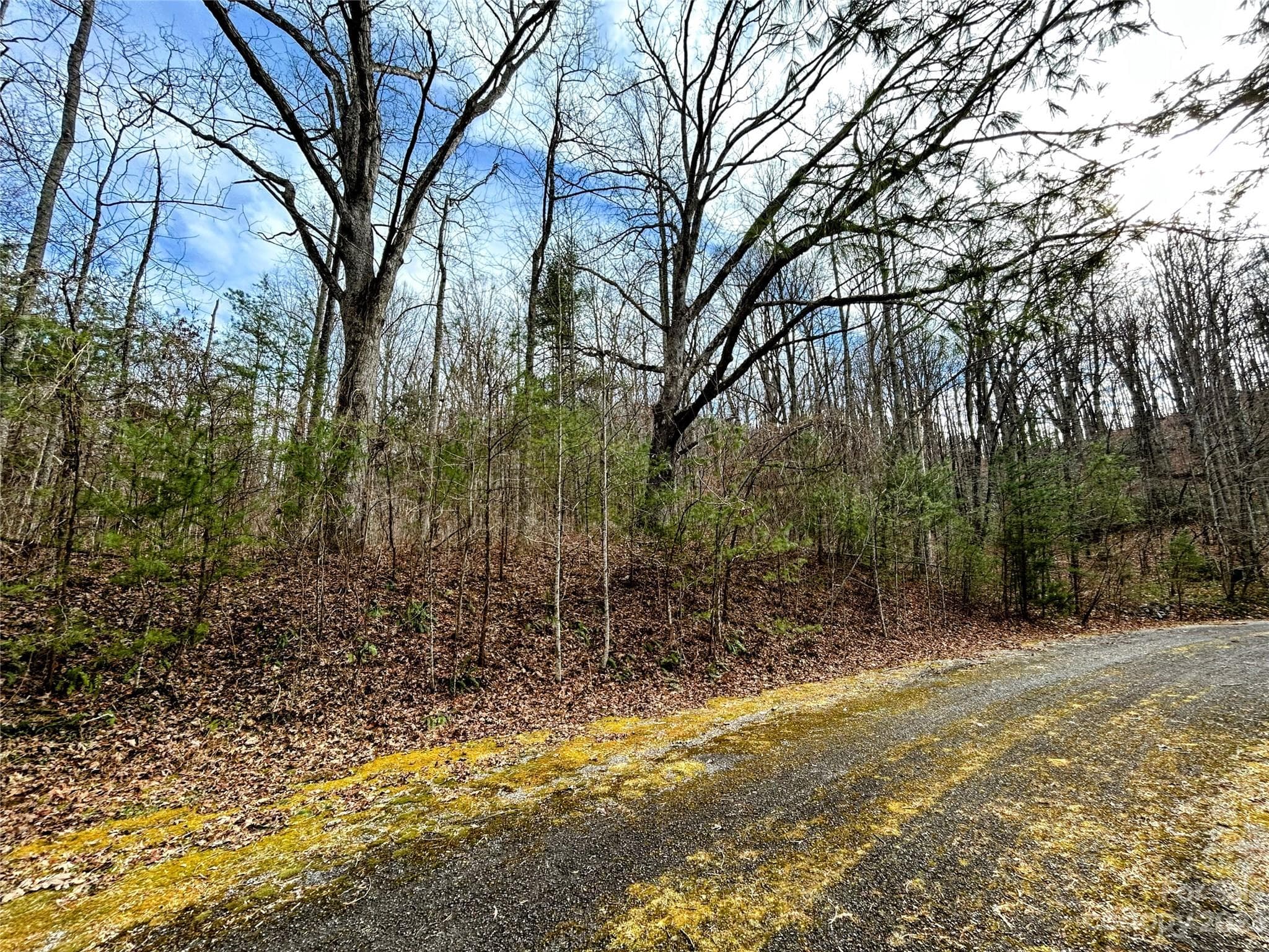Lot at Lot 8 Azalea Way, Saluda, photo 10 of 14