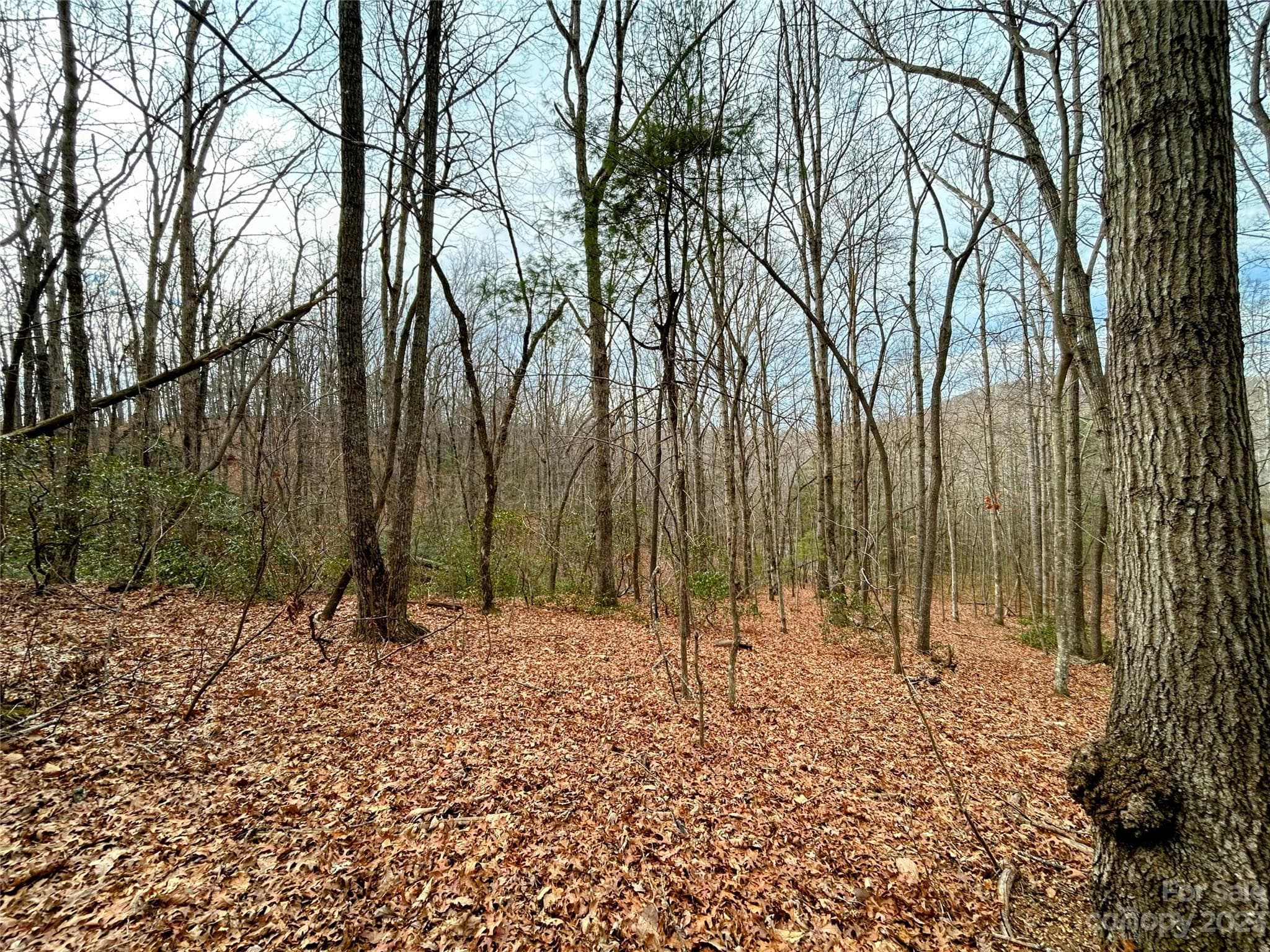 Lot at Lot 11 Rhododendron Drive, Saluda, photo 2 of 12