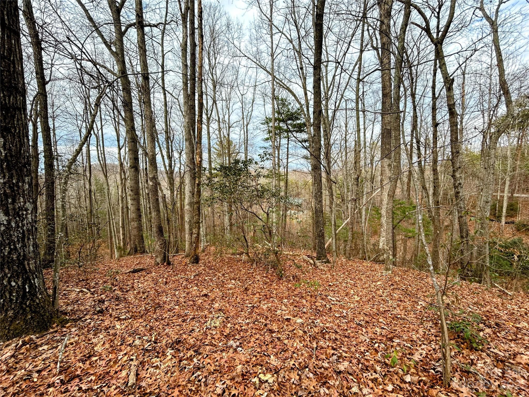 Lot at Lot 11 Rhododendron Drive, Saluda, photo 3 of 12