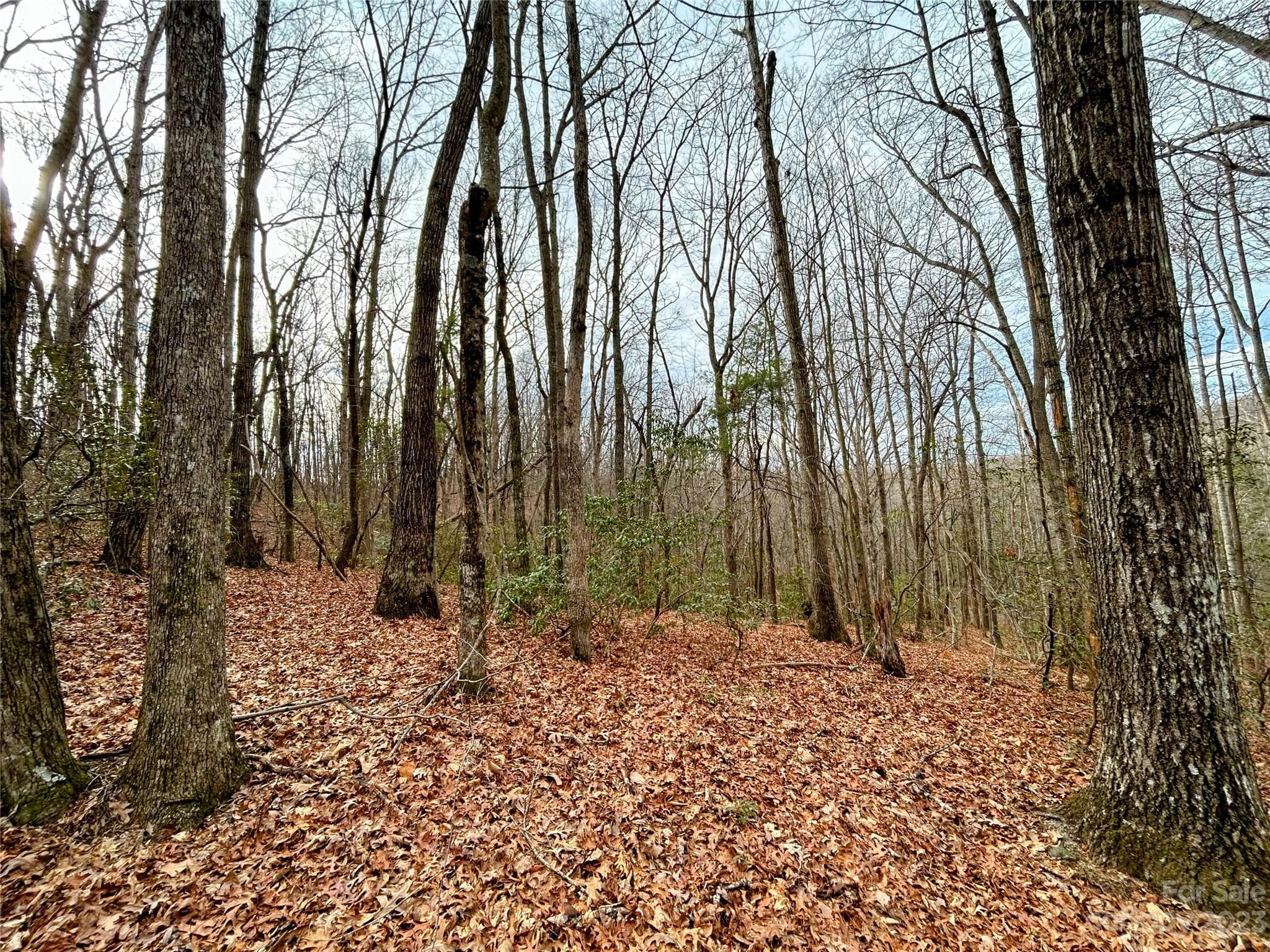 Lot at Lot 11 Rhododendron Drive, Saluda, photo 4 of 12