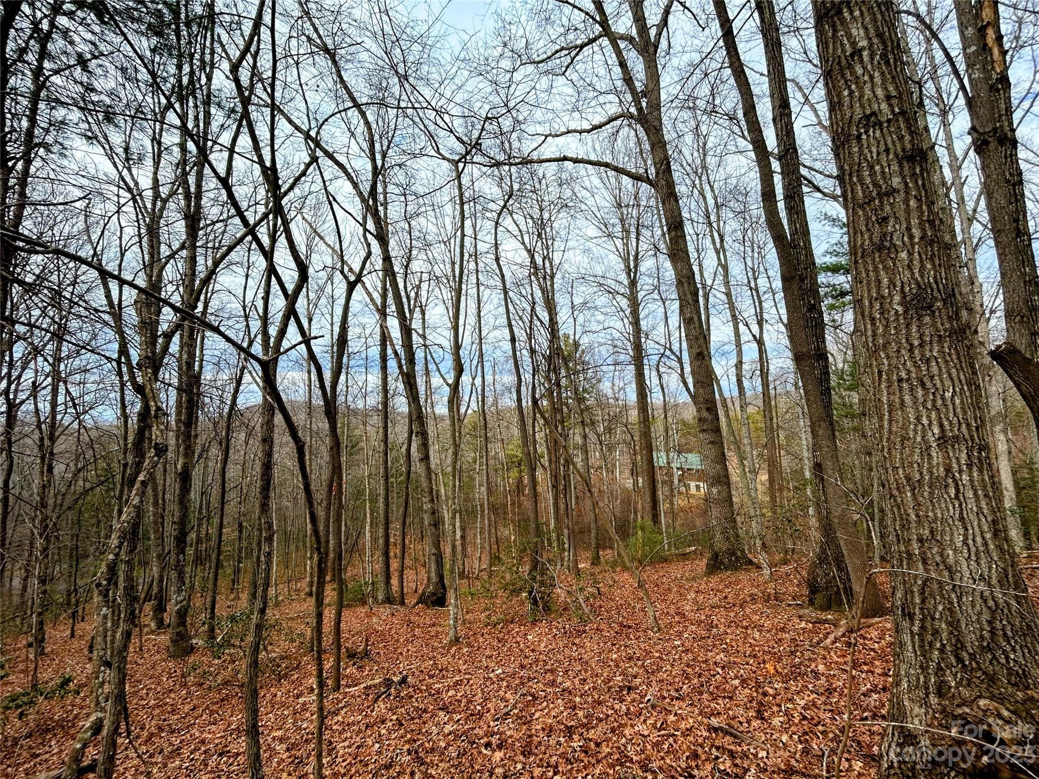 Lot at Lot 11 Rhododendron Drive, Saluda, photo 5 of 12