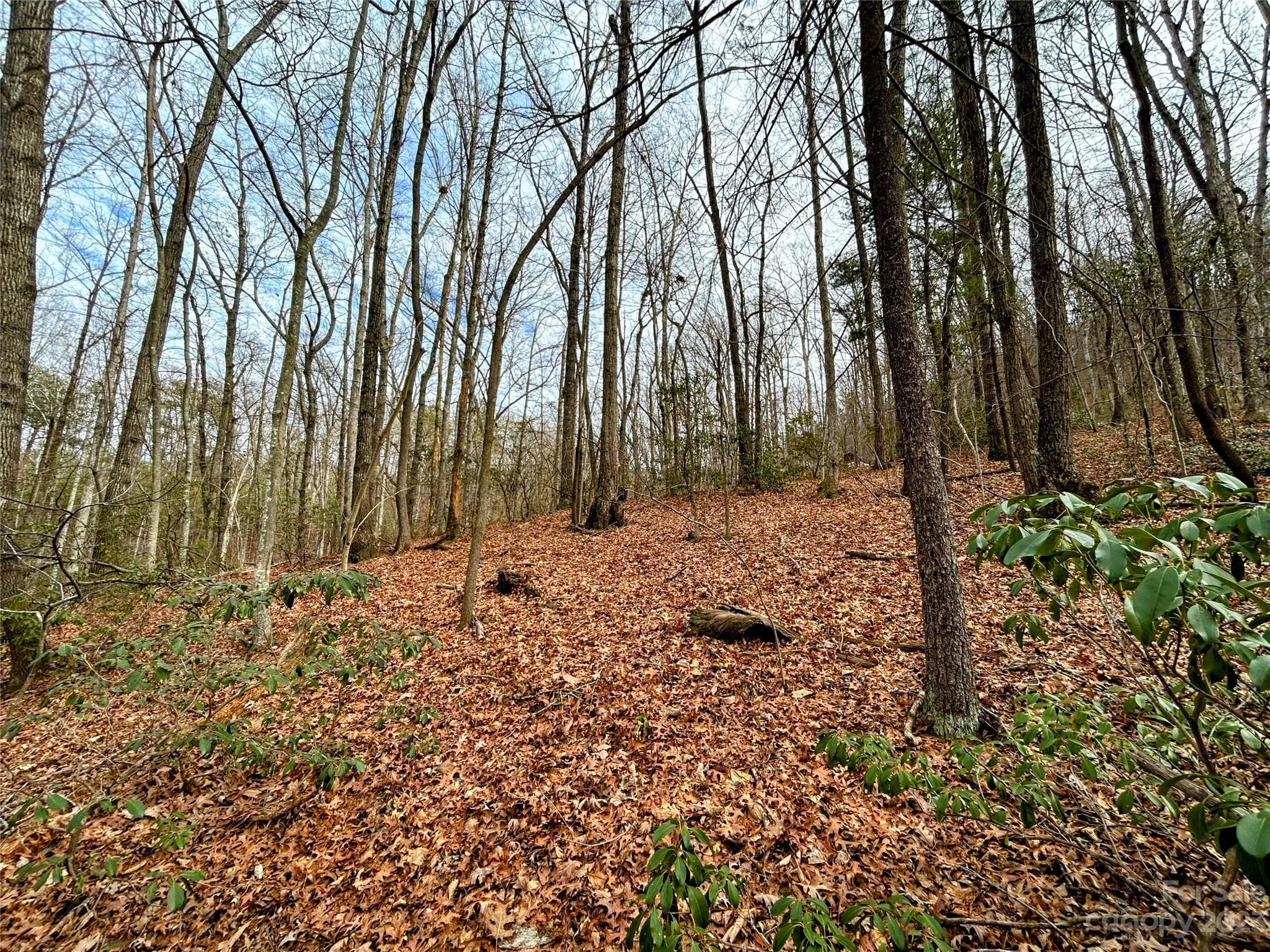 Lot at Lot 11 Rhododendron Drive, Saluda, photo 6 of 12
