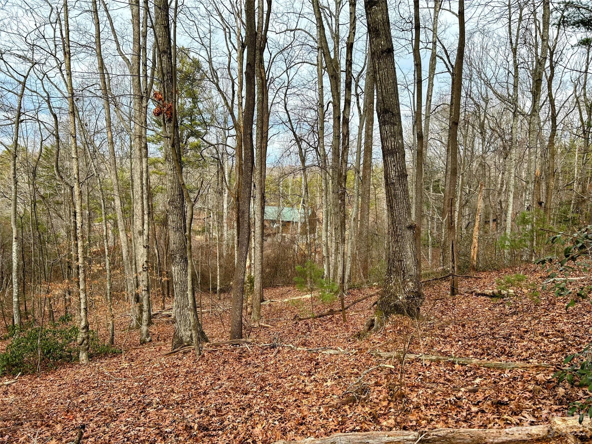 Lot at Lot 11 Rhododendron Drive, Saluda, photo 7 of 12