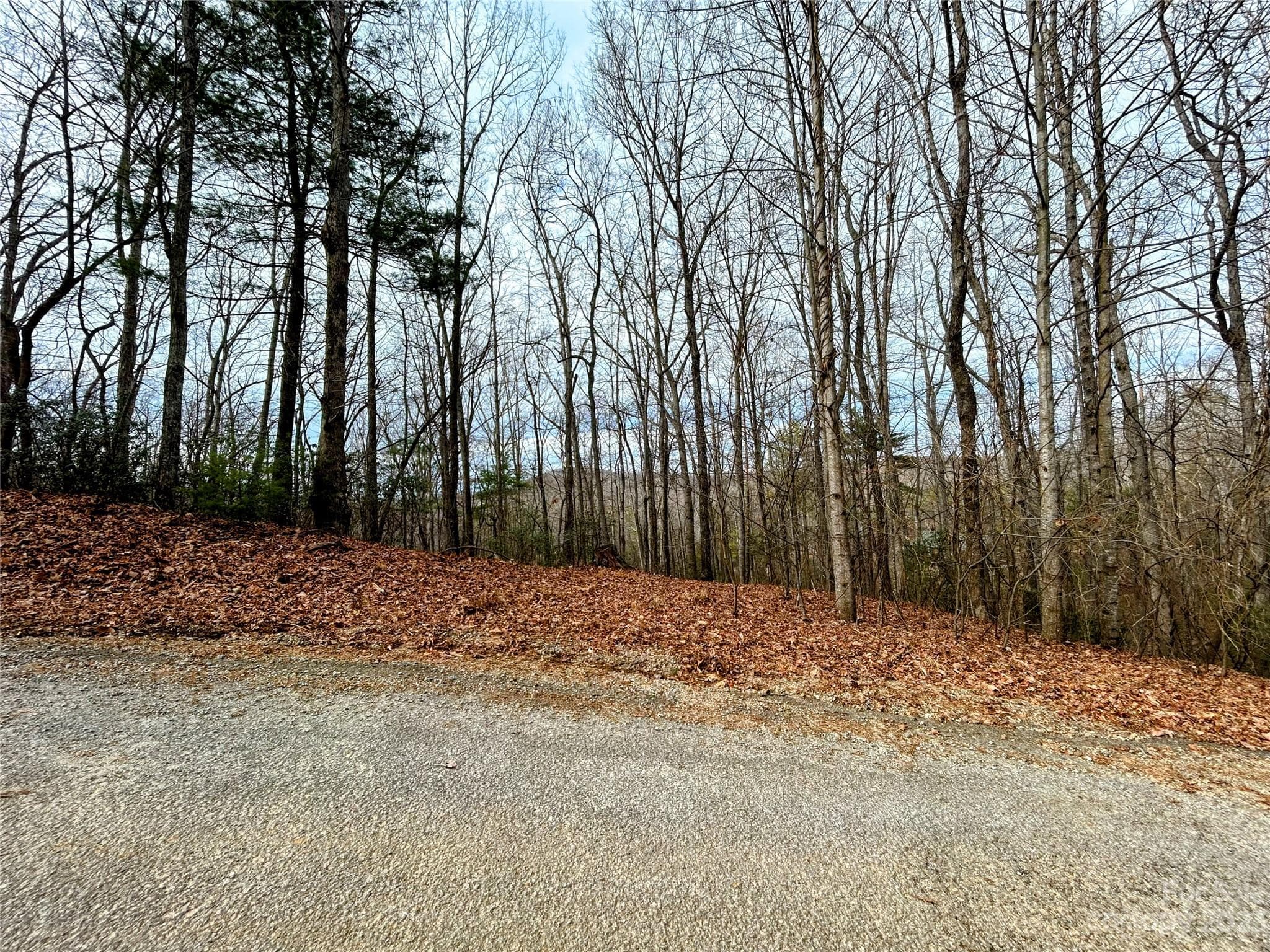 Lot at Lot 11 Rhododendron Drive, Saluda, photo 8 of 12