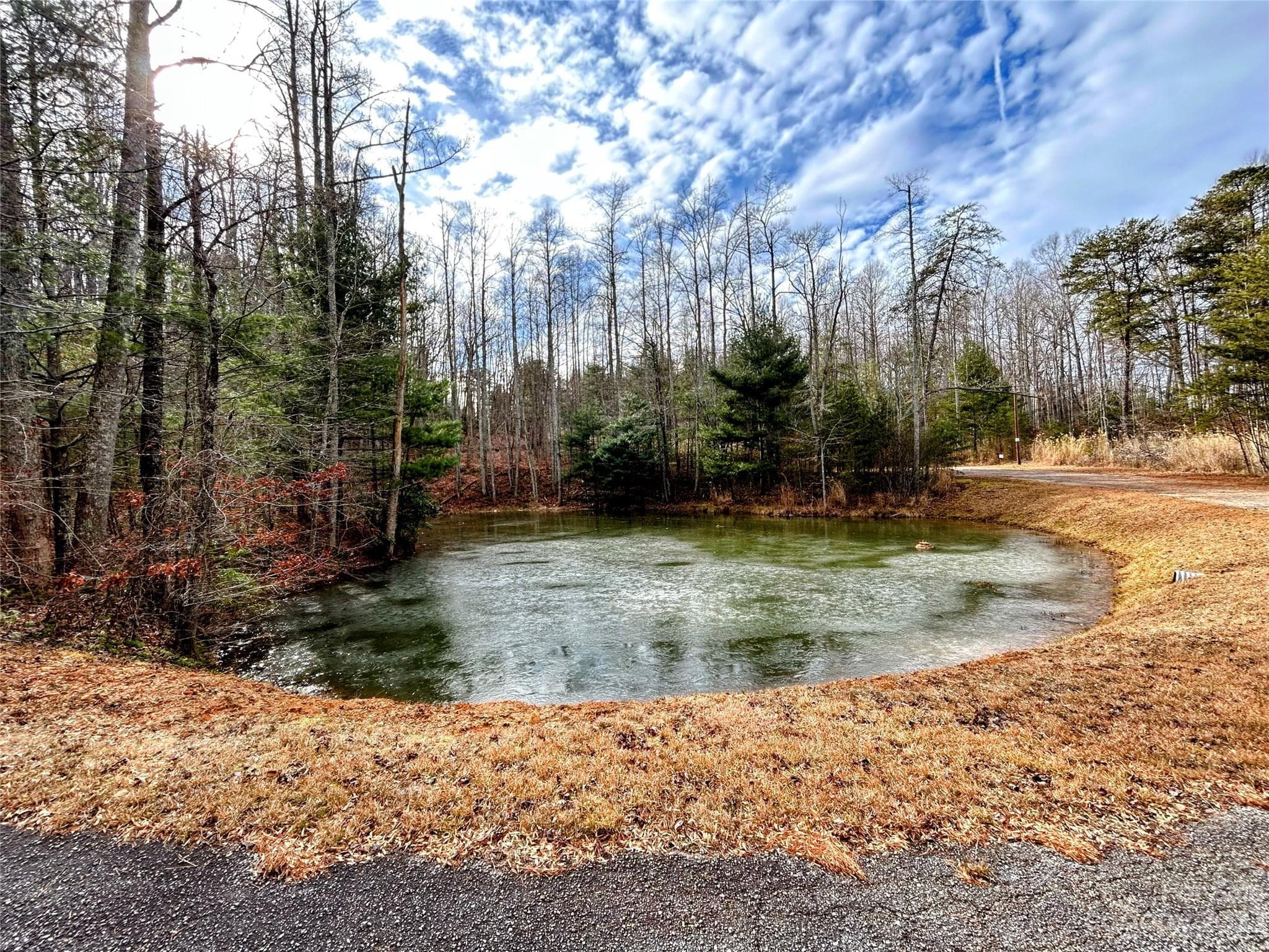 Common area - Lot 11 Rhododendron Drive, Saluda
