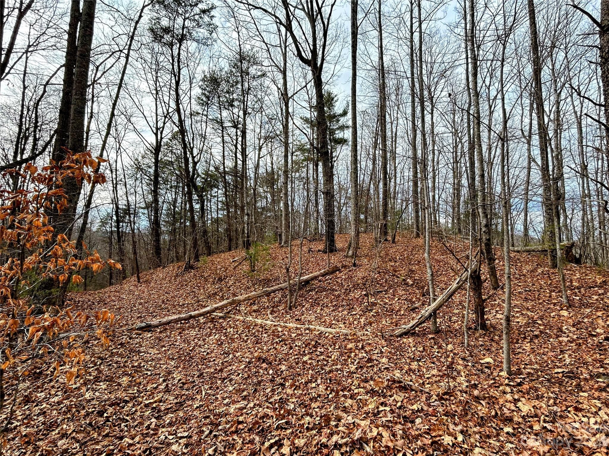 Lot at Lot 12 Rhododendron Drive, Saluda, photo 3 of 17
