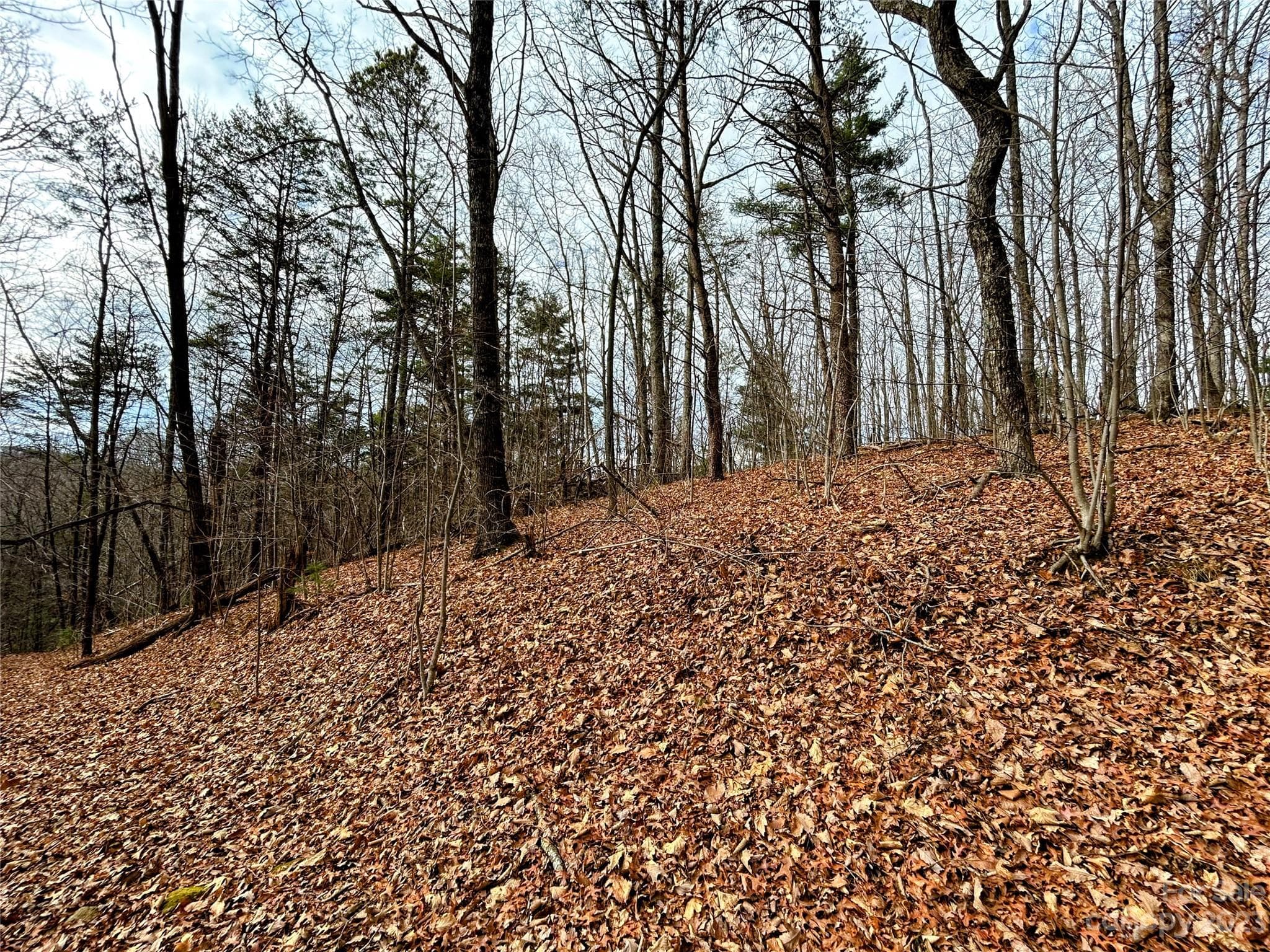 Lot at Lot 12 Rhododendron Drive, Saluda, photo 4 of 17