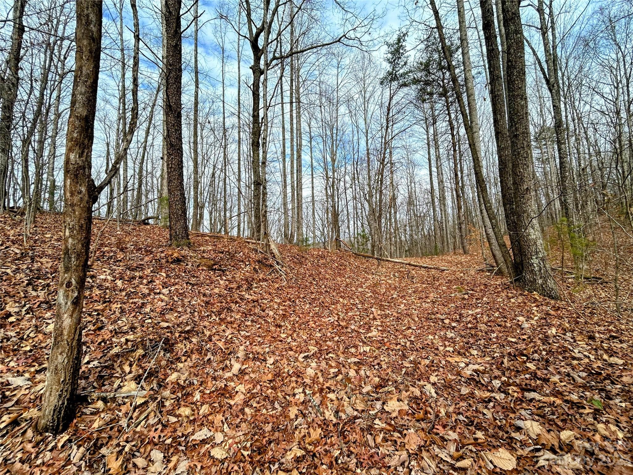 Lot at Lot 12 Rhododendron Drive, Saluda, photo 5 of 17