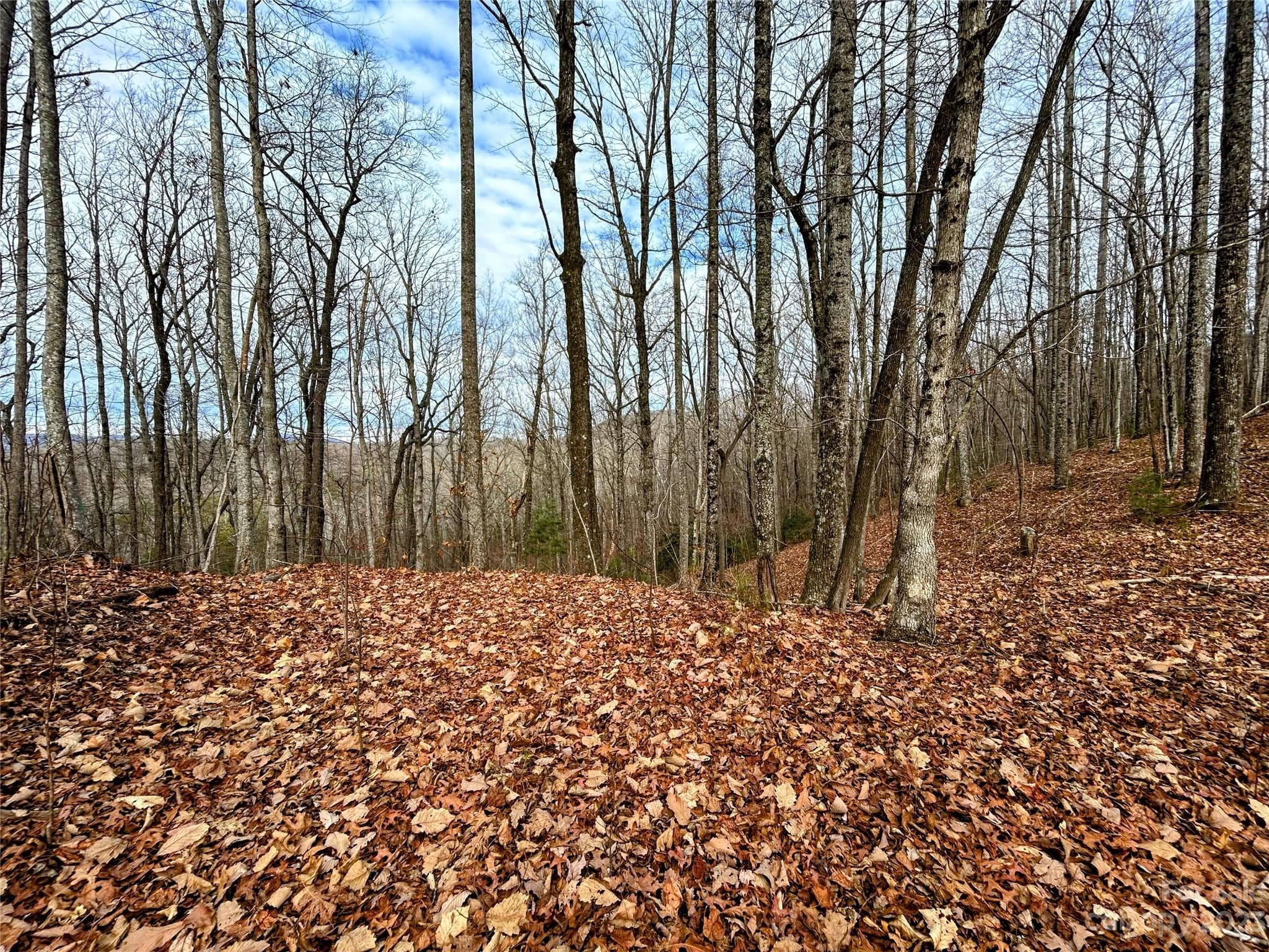 Lot at Lot 12 Rhododendron Drive, Saluda, photo 6 of 17