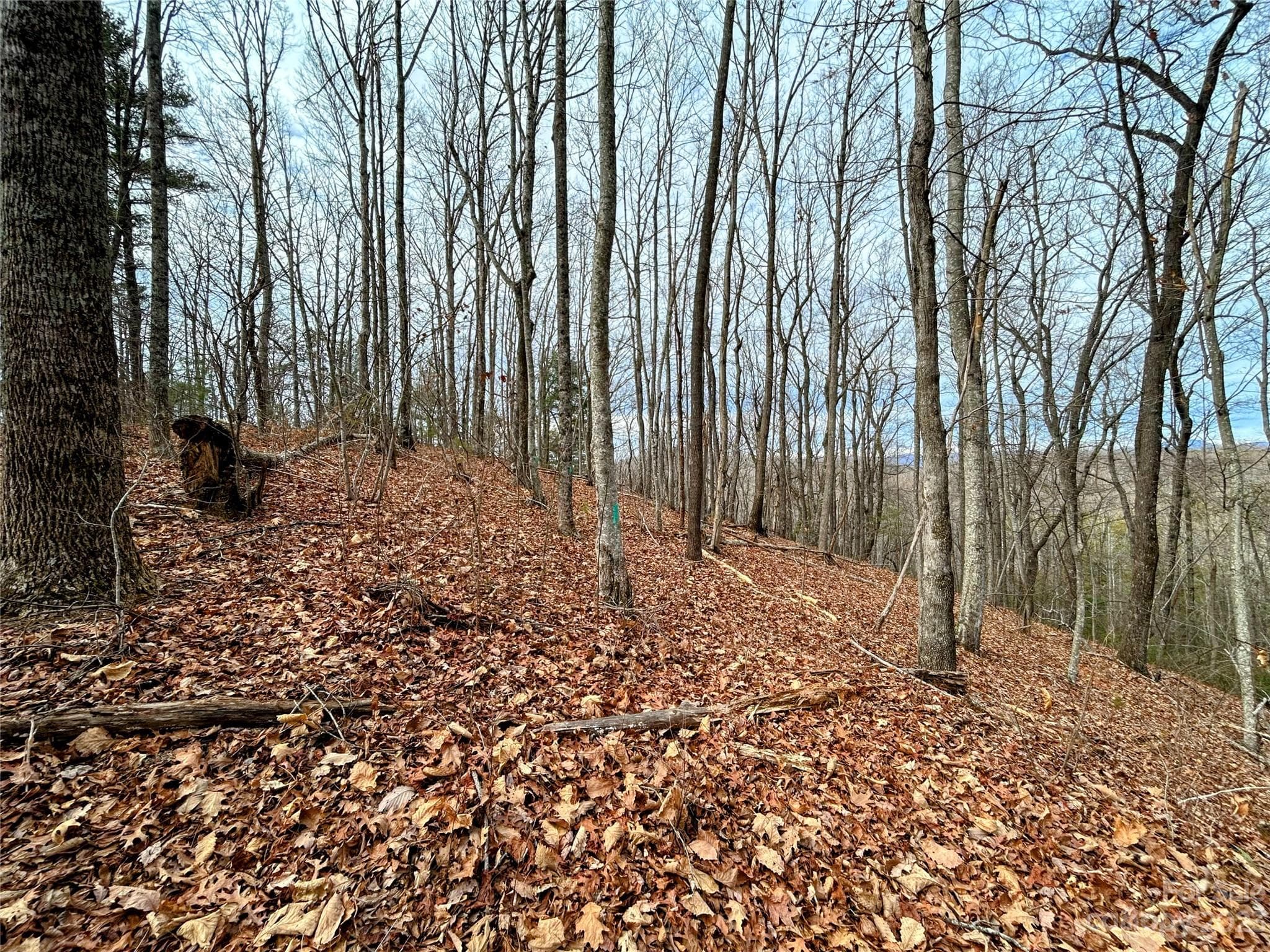 Lot at Lot 12 Rhododendron Drive, Saluda, photo 7 of 17