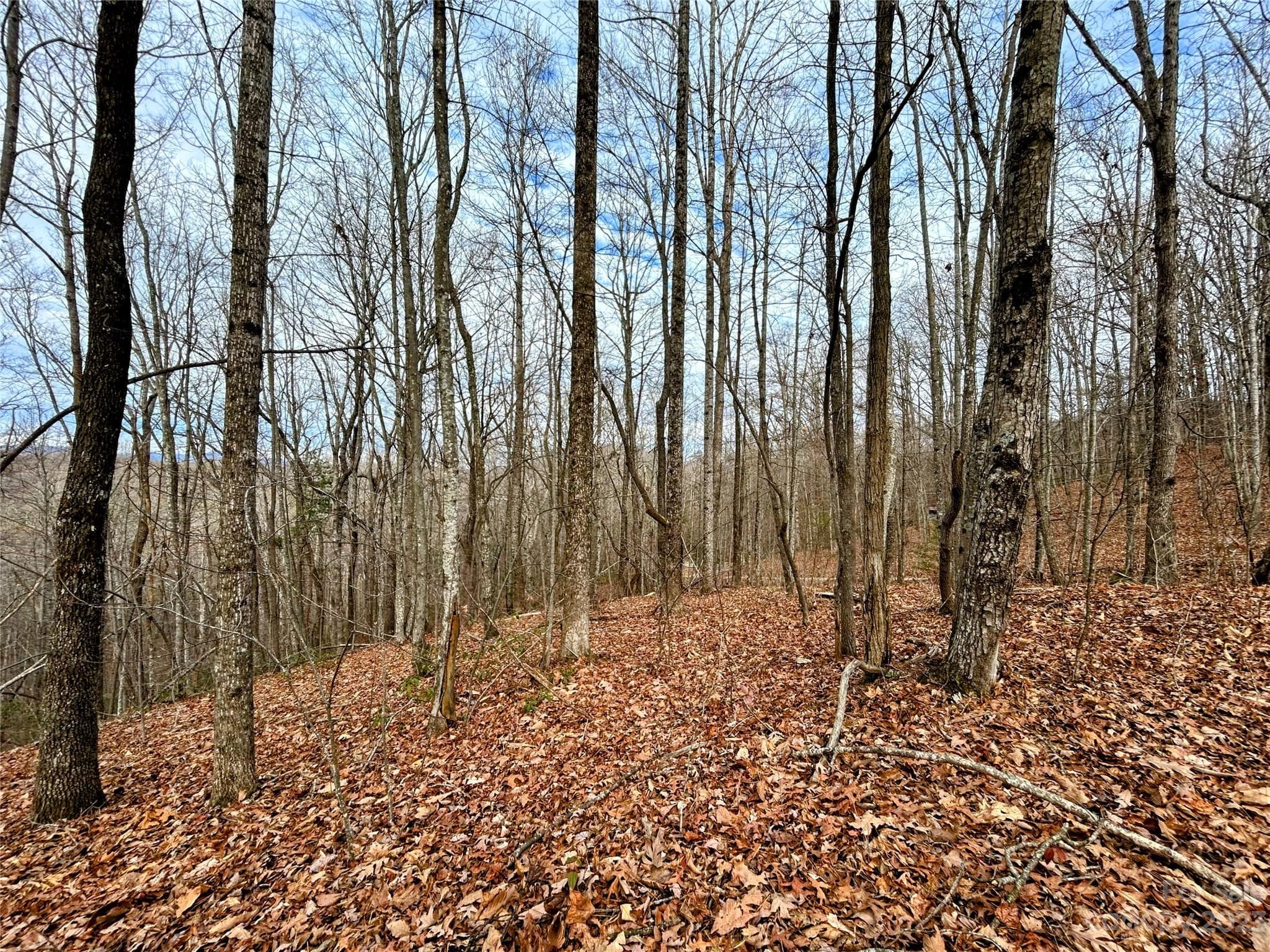 Lot at Lot 12 Rhododendron Drive, Saluda, photo 9 of 17
