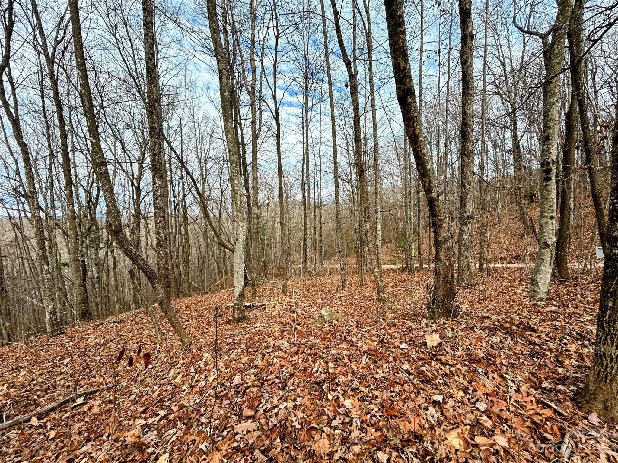 Lot at Lot 12 Rhododendron Drive, Saluda, photo 10 of 17