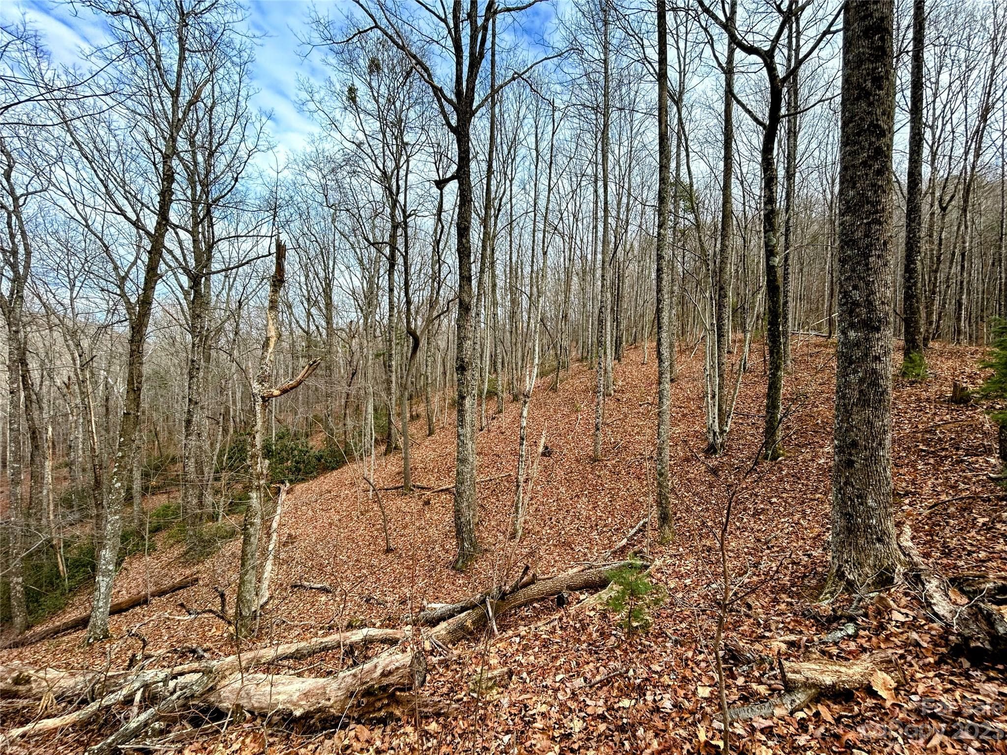 Lot at Lot 12 Rhododendron Drive, Saluda, photo 11 of 17