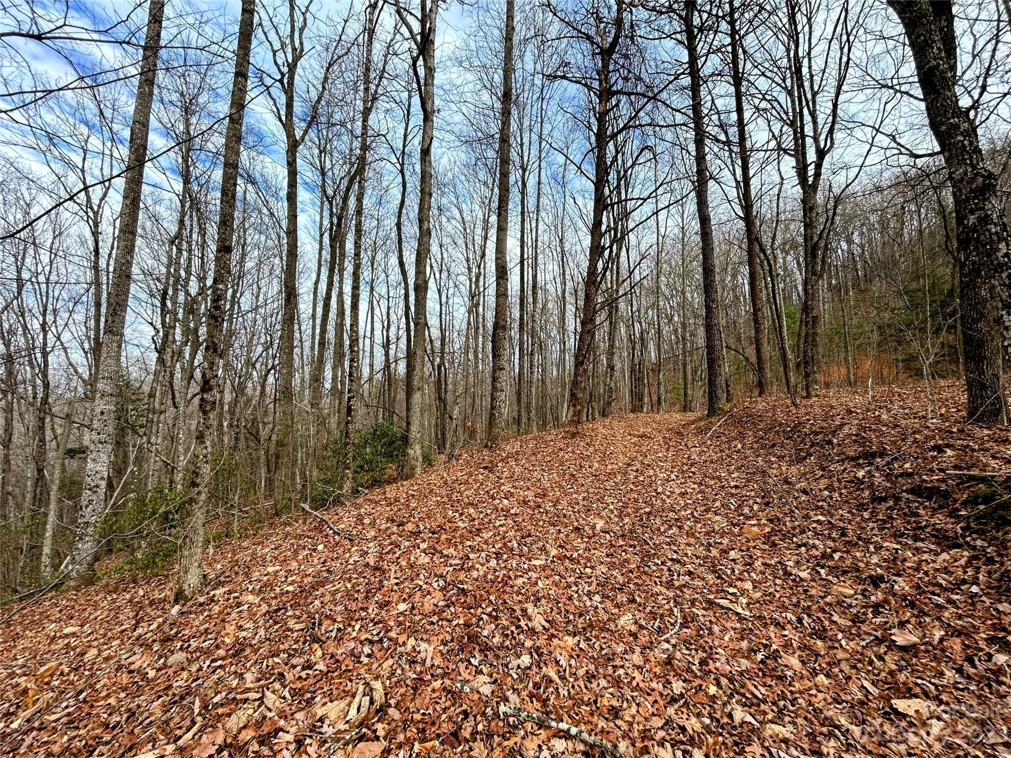 Lot at Lot 12 Rhododendron Drive, Saluda, photo 12 of 17